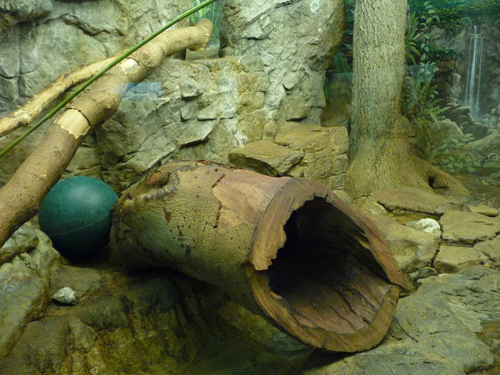 Cincinnati Zoo - Small Cat House