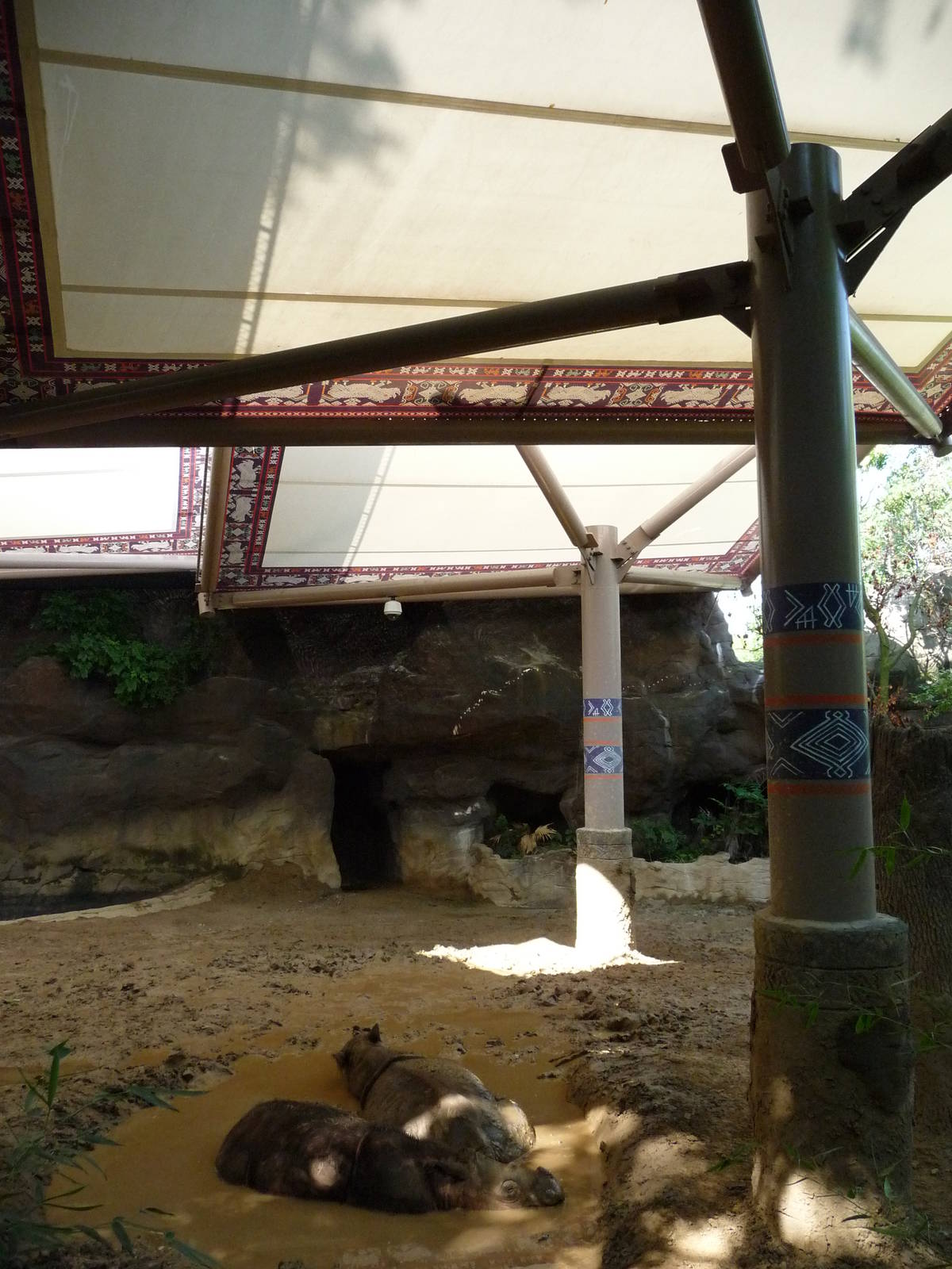 Cincinnati Zoo - Sumatran Rhino Paddock