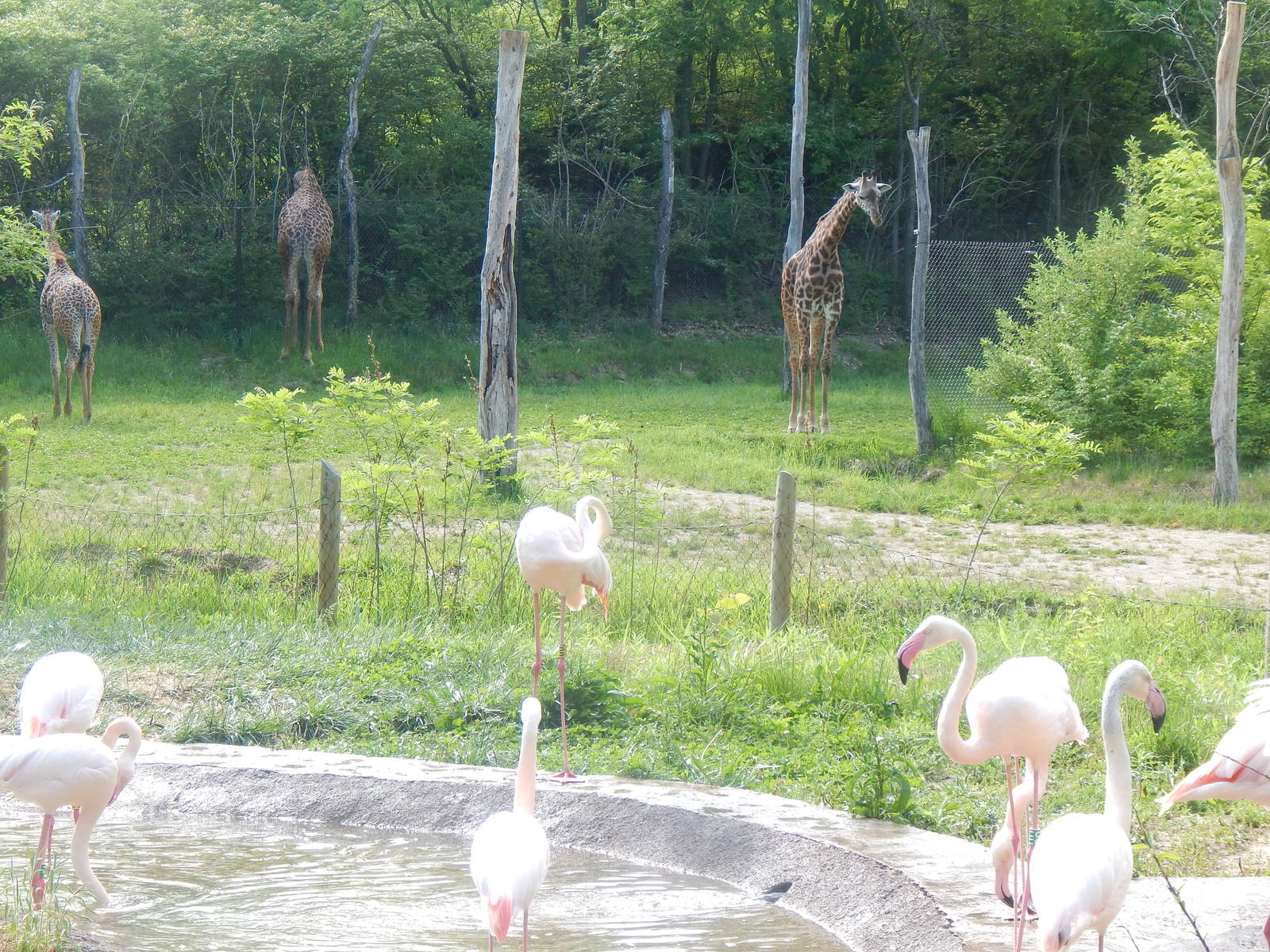 Cincinnati Zoo