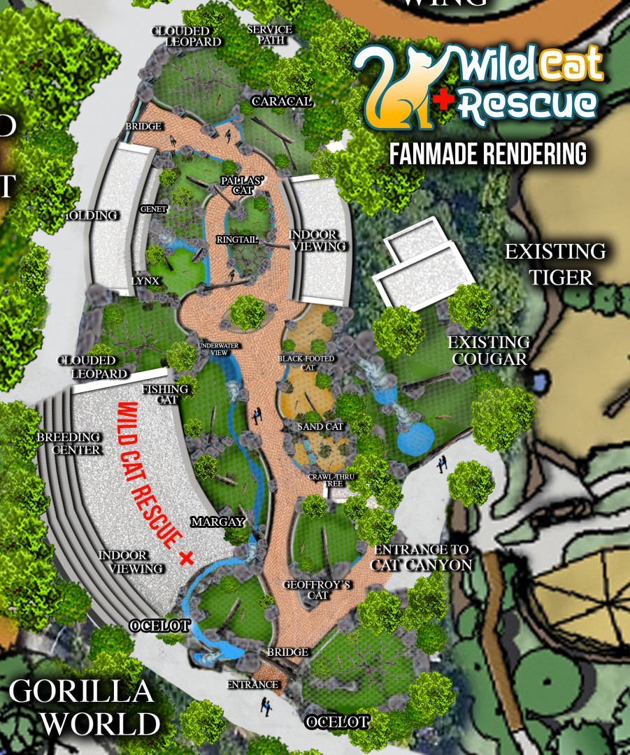 Cincinnati Zoo's Wild Cat Rescue (Night Hunters Replacement)