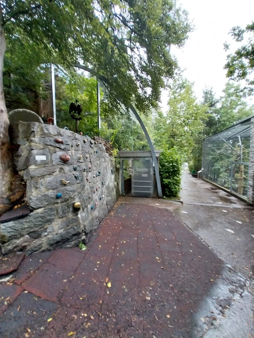 Cinereous vulture aviary entrance