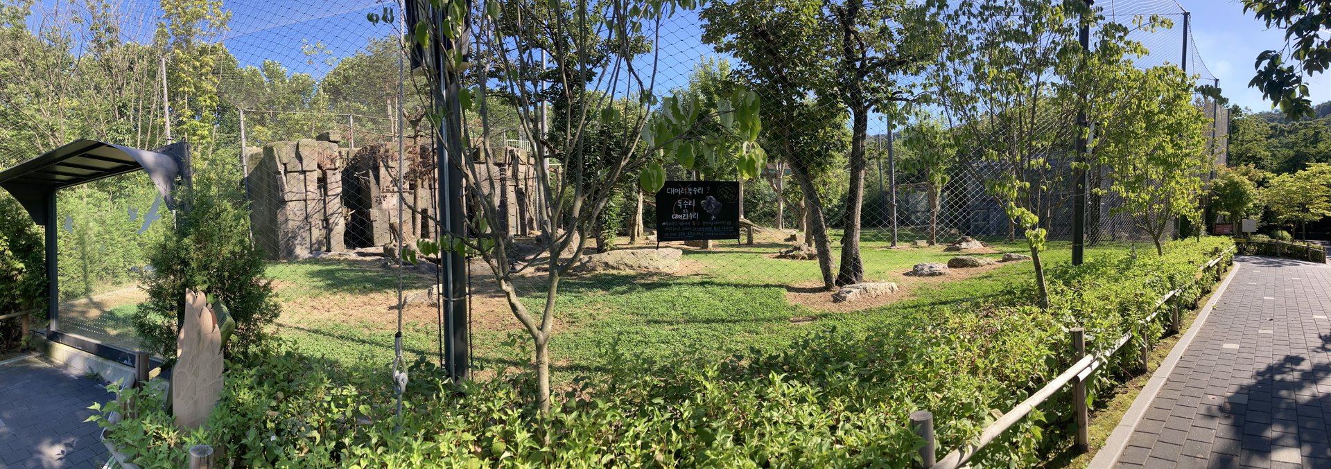 Cinereous vulture aviary (pano)