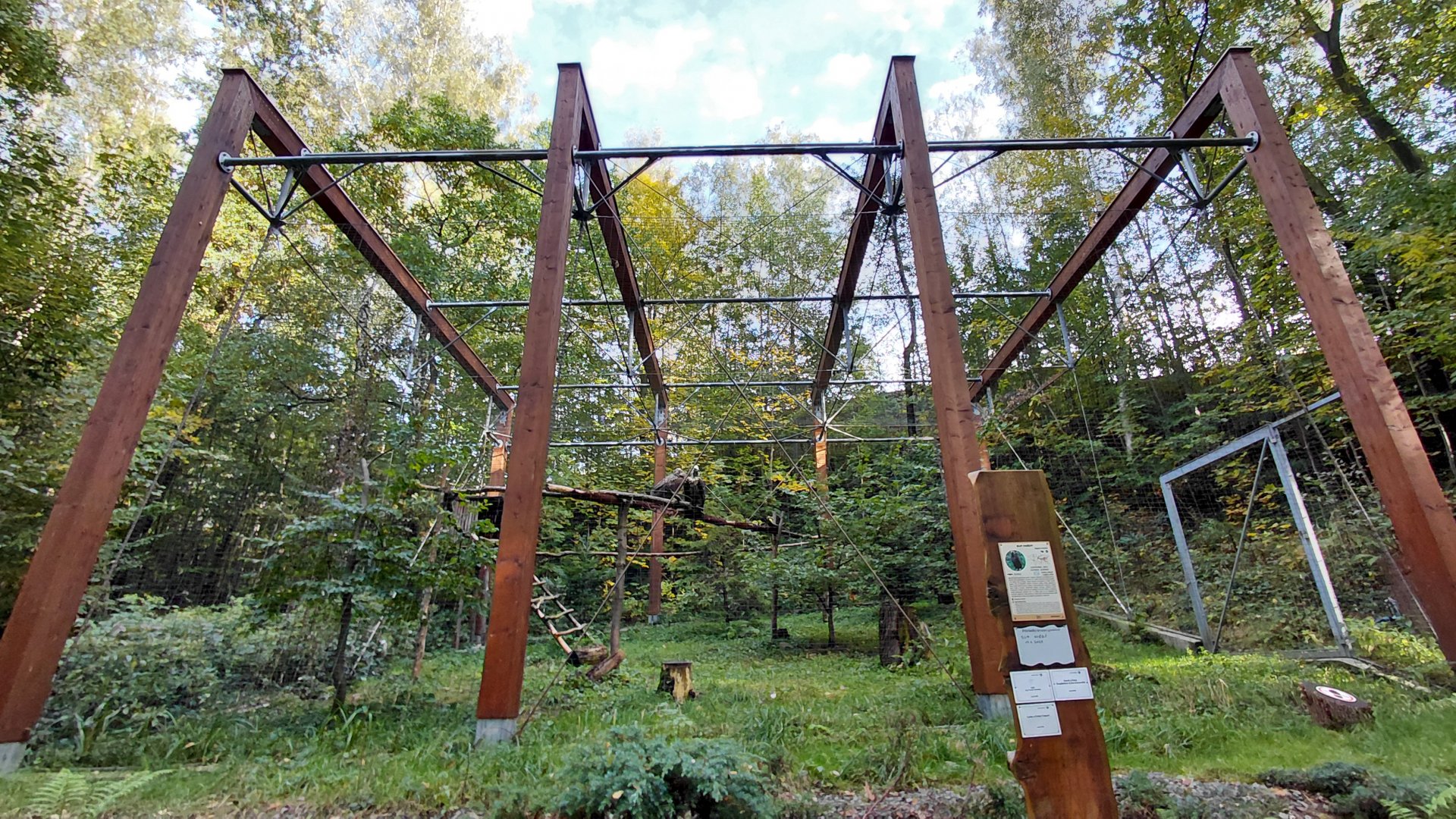 Cinereous vulture aviary