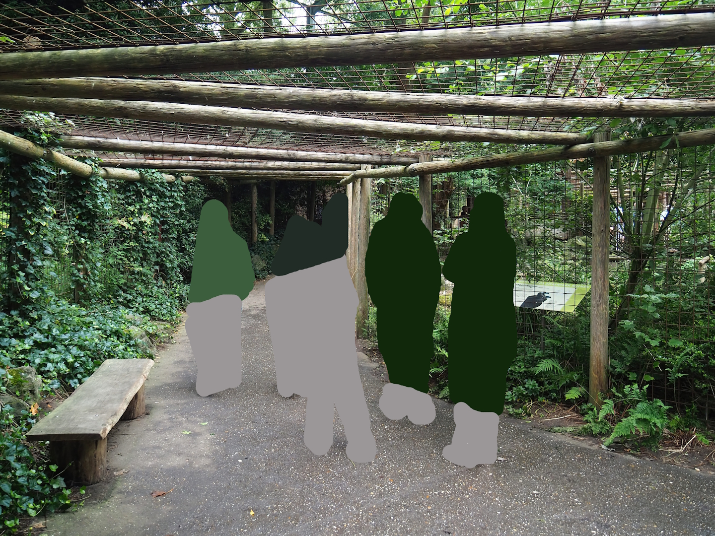 Cinereous vulture, King vulture, Red kite and White-naped crane aviary, 2023-08-17