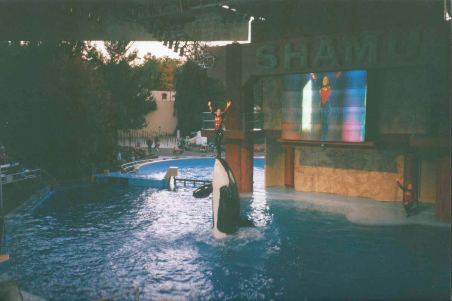 Circa 2000 - Shamu Show