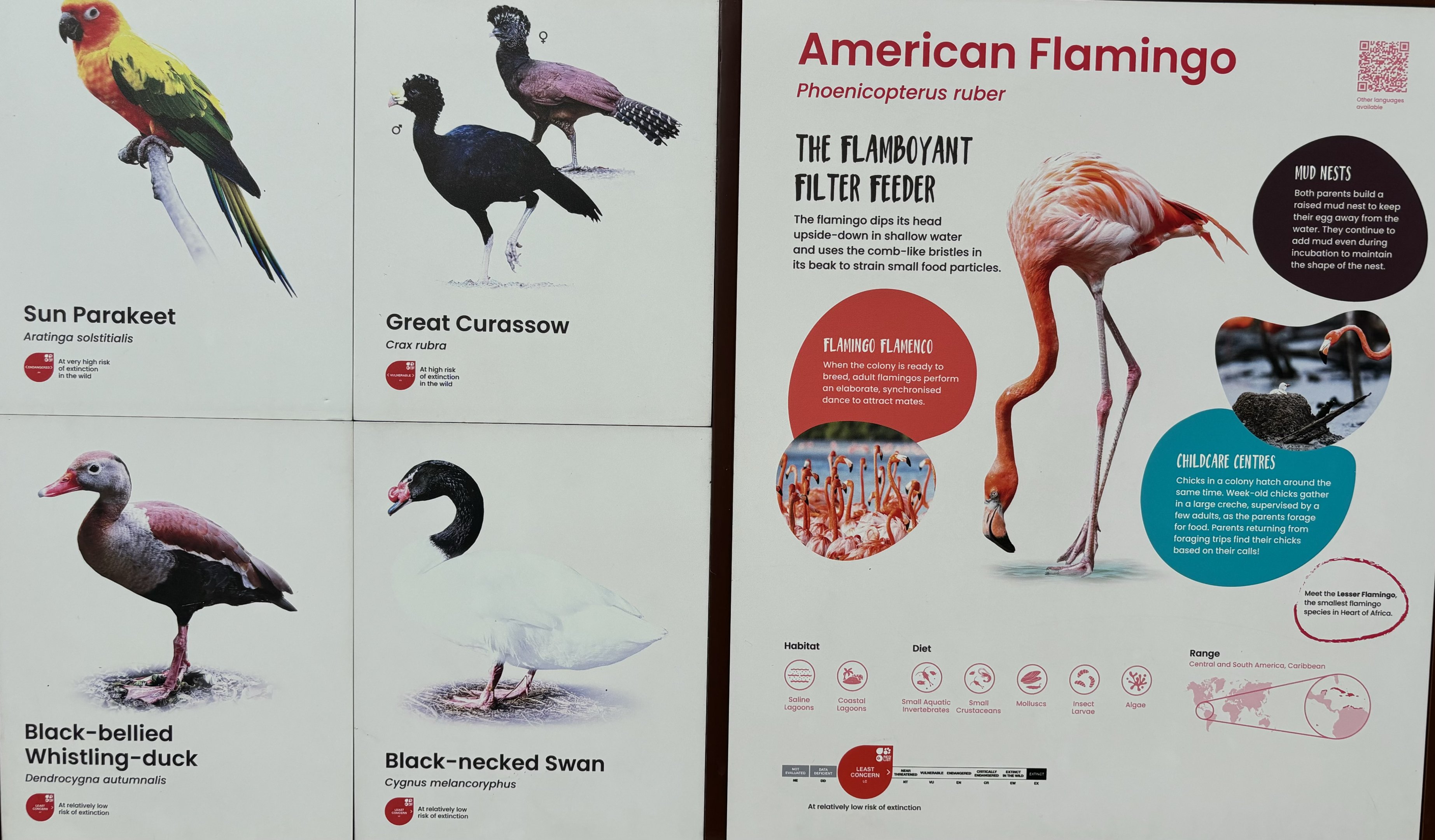 Circa 45 Species in 3-Acre Crimson Werlands Aviary