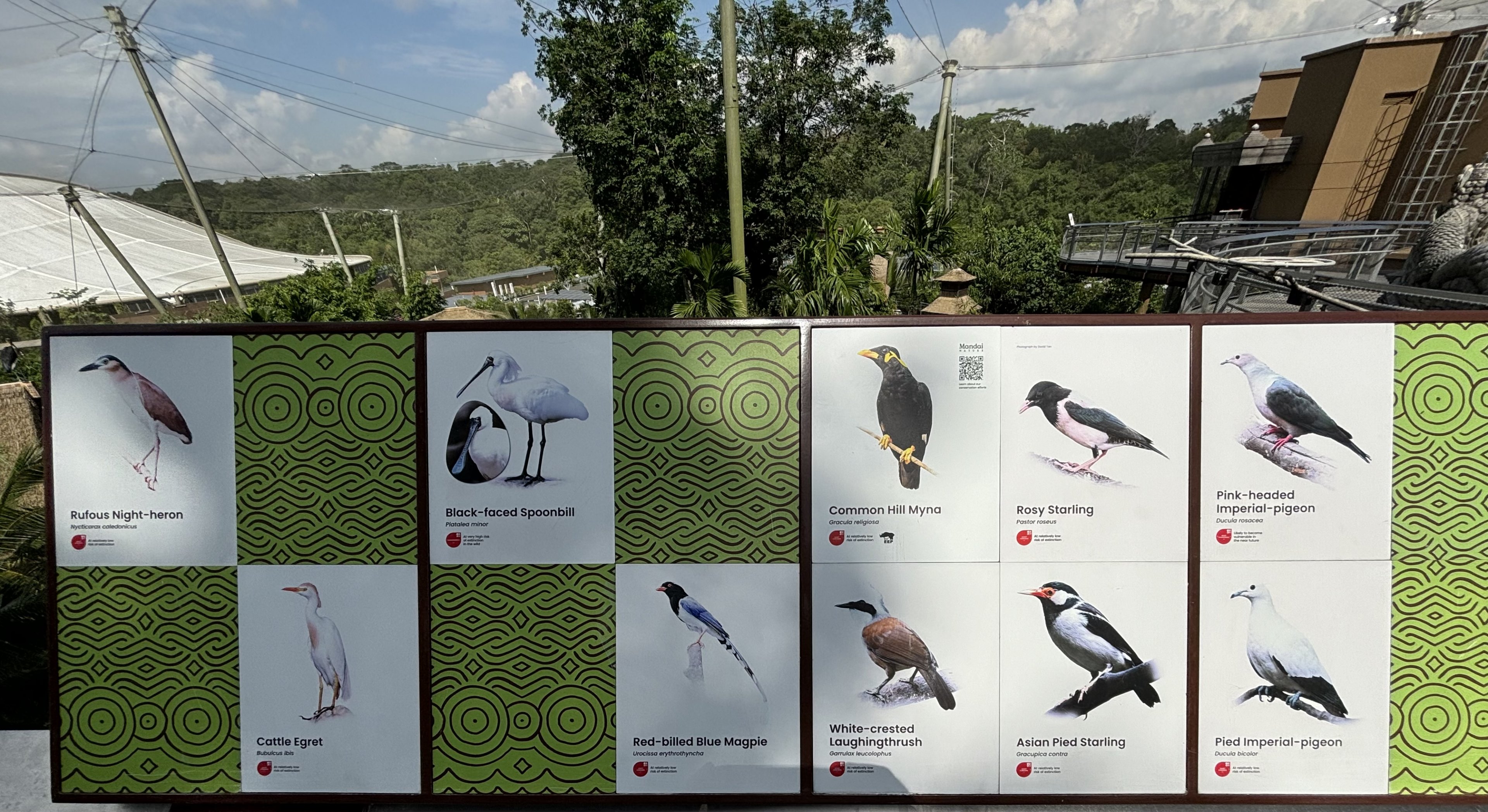 Circa 50 Species in 2-Acre Wings of Asia Aviary