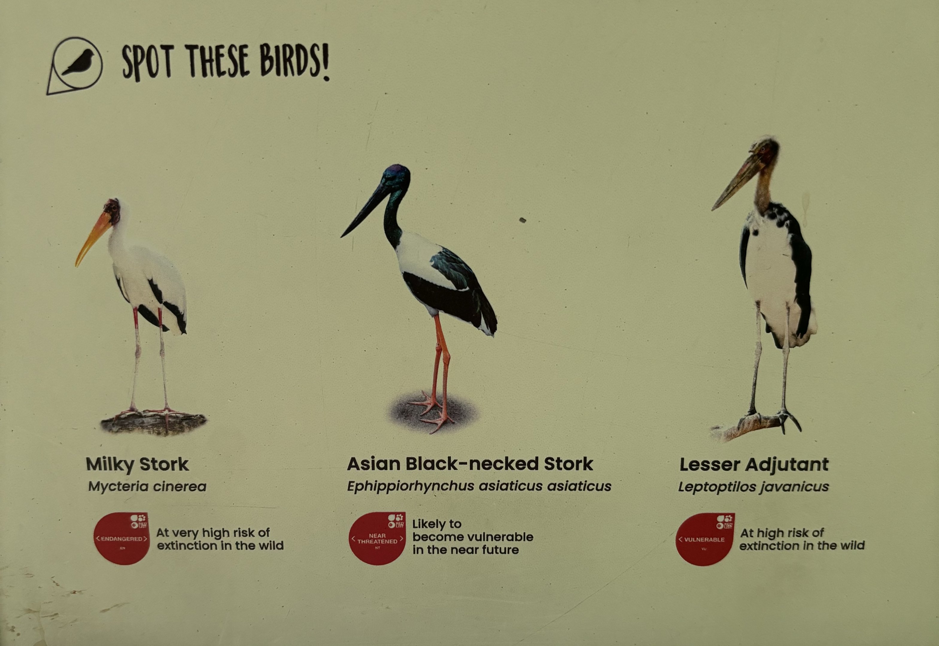 Circa 50 Species in 2-Acre Wings of Asia Aviary