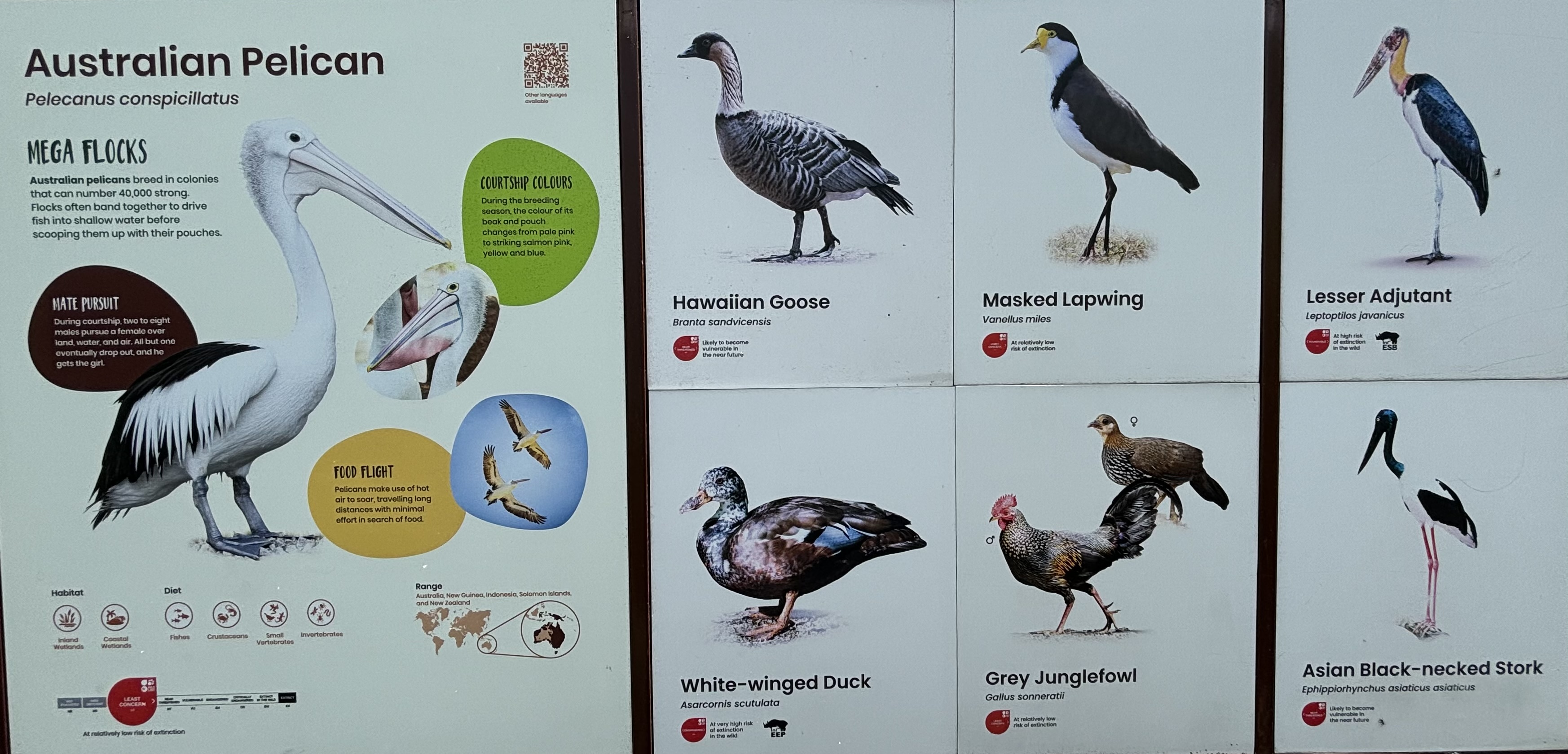 Circa 50 Species in 2-Acre Wings of Asia Aviary