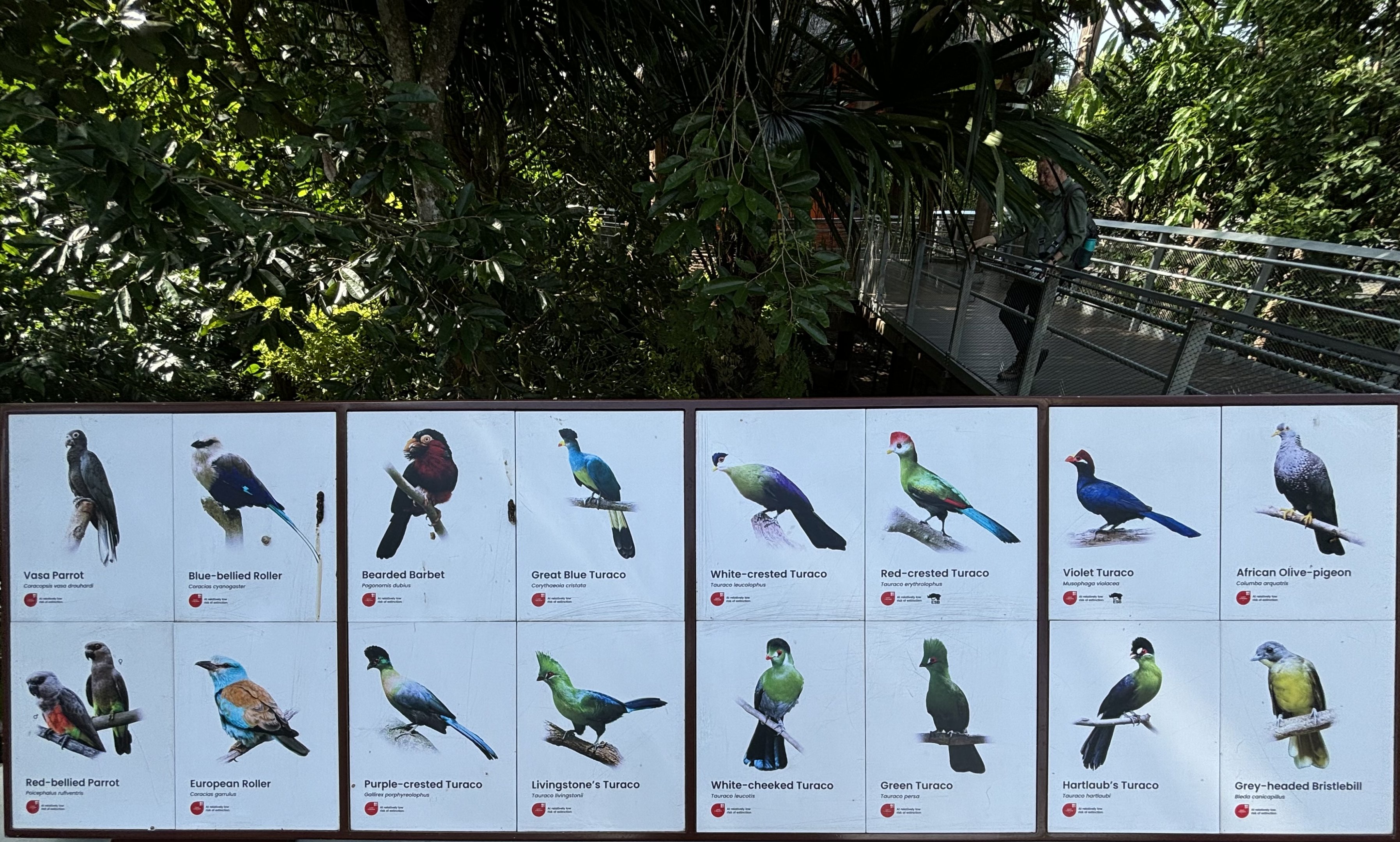 Circa 75 Species in 4-Acre Heart of Africa Aviary