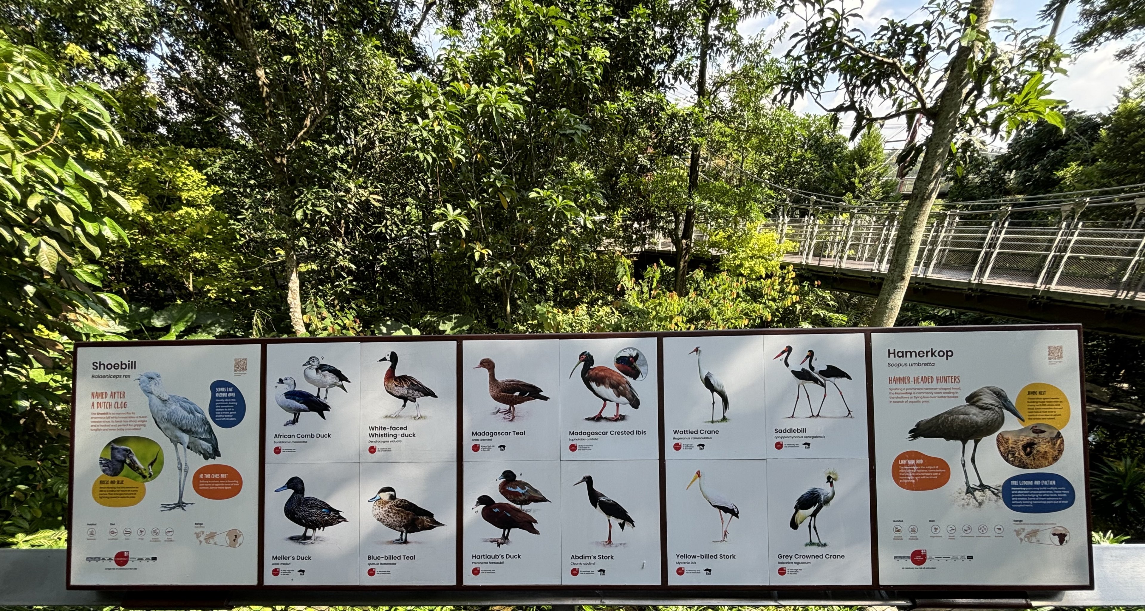 Circa 75 Species in 4-Acre Heart of Africa Aviary
