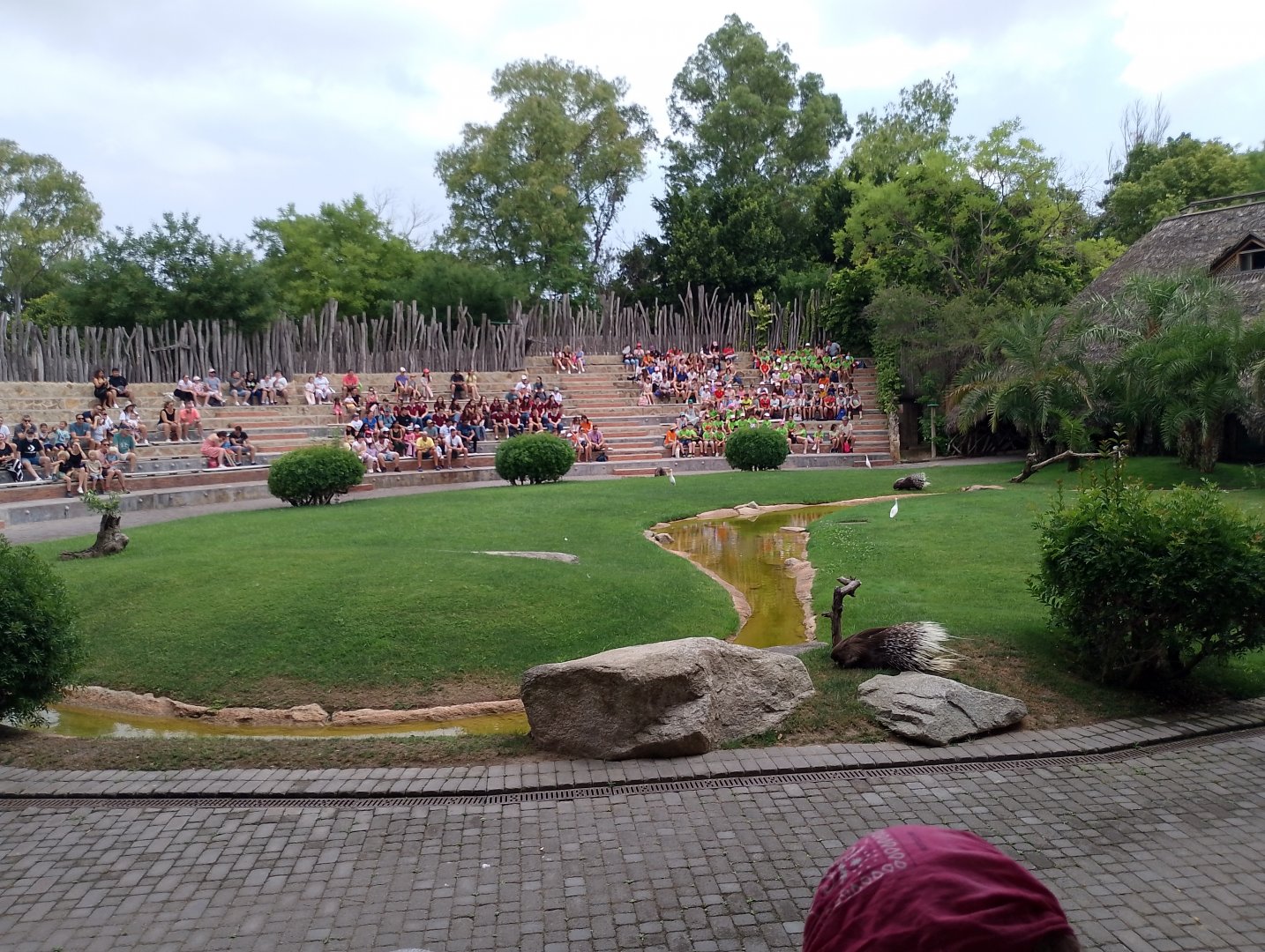 "Circle of Life" Amphitheatre