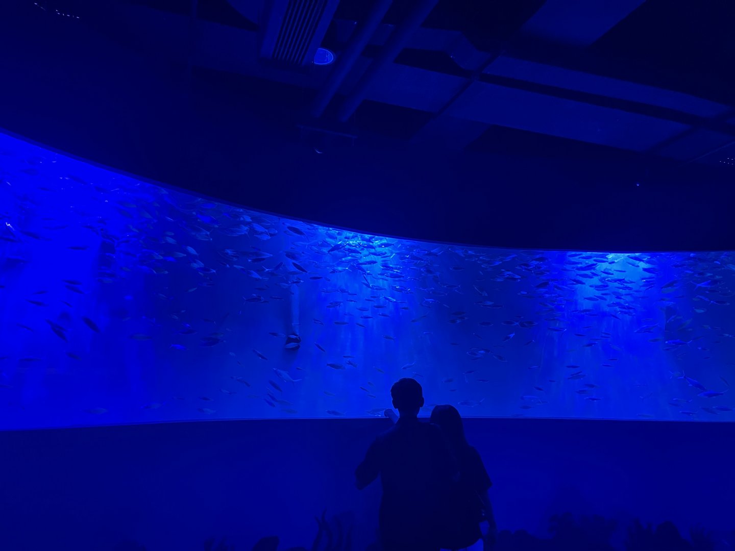 circular aquarium (1) - BX Sea