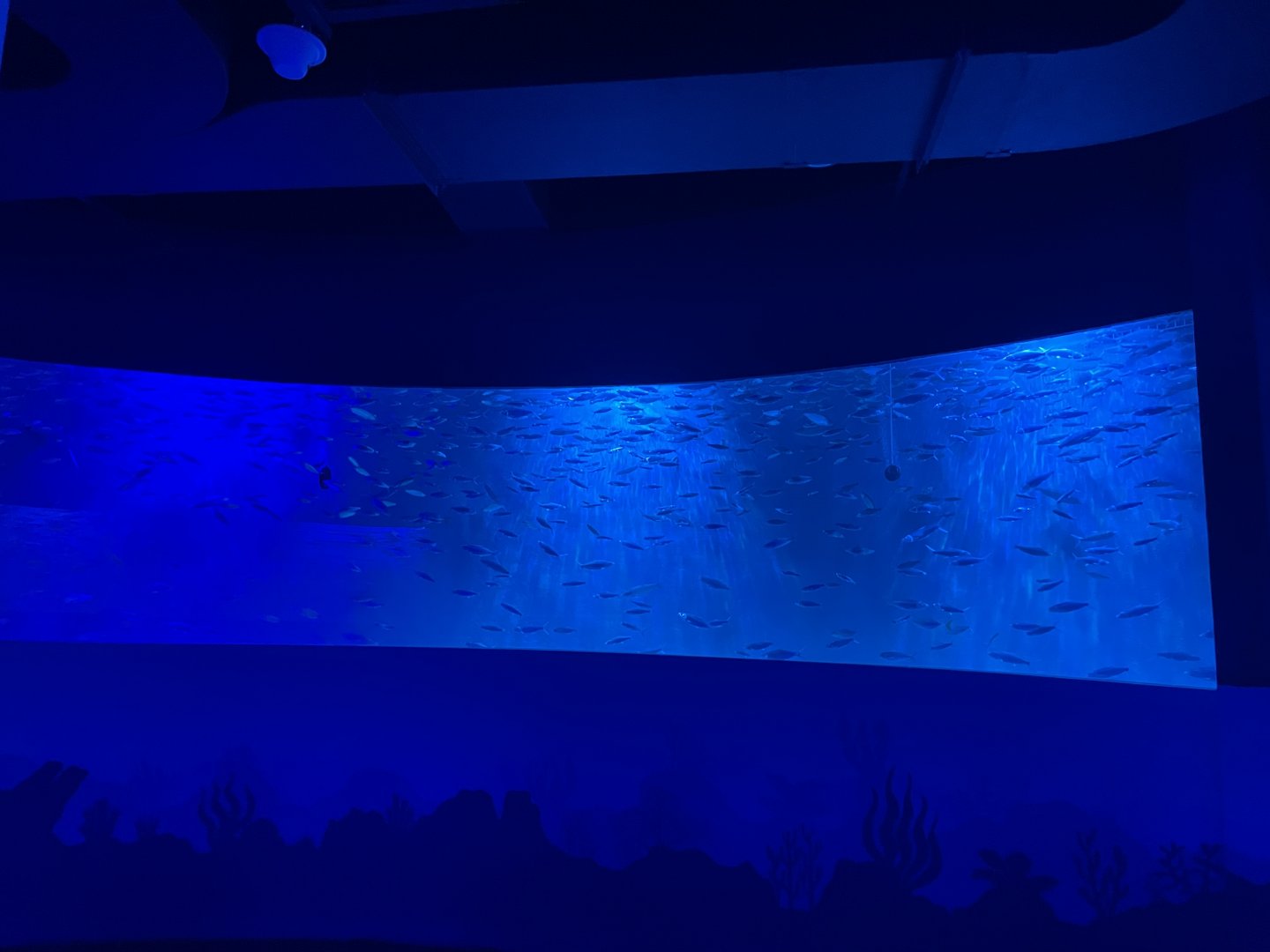 circular aquarium (2) - BX Sea