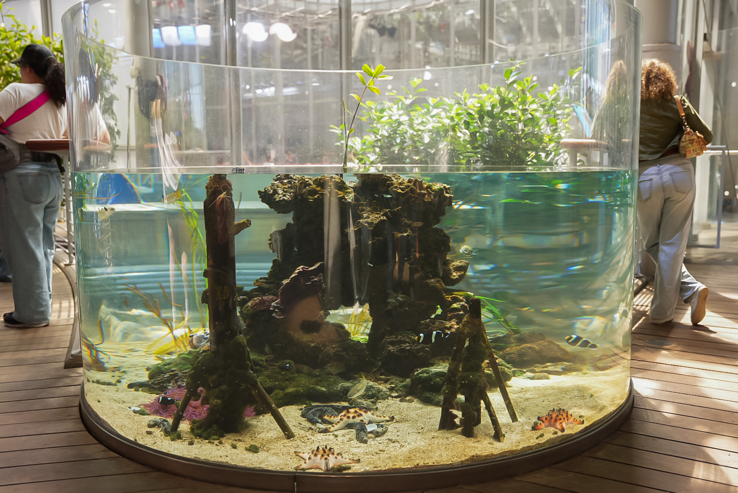 Circular Mangrove Tank
