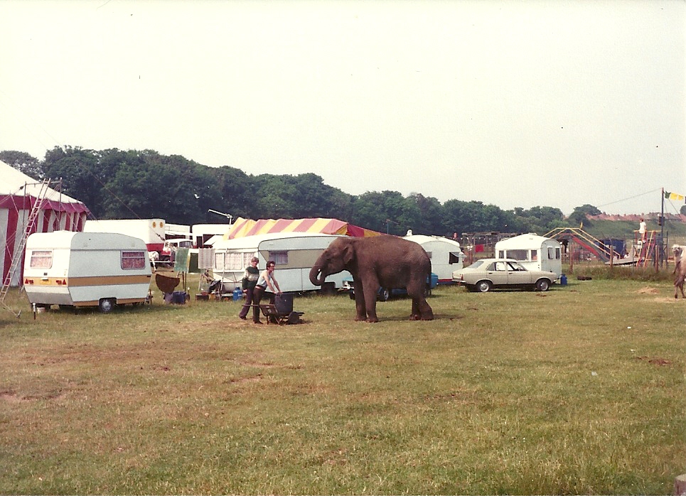 Circus Elephant at Bridlington 1984