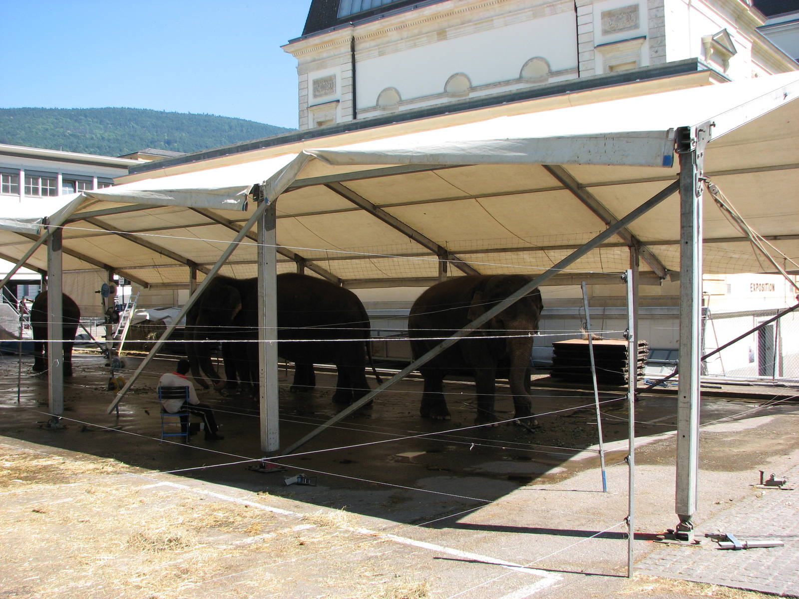 Circus Knie in Neuchatel 2008 - Elephant Tent