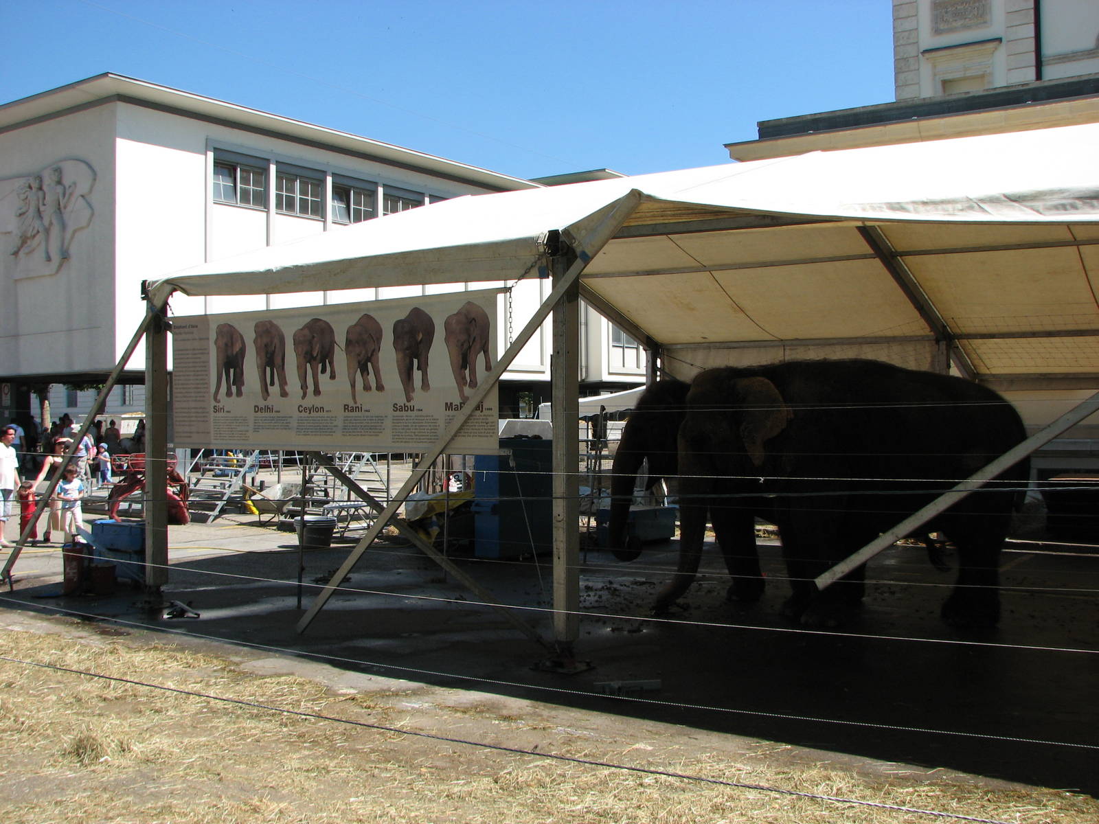 Circus Knie in Neuchatel 2008 - Elephant Tent