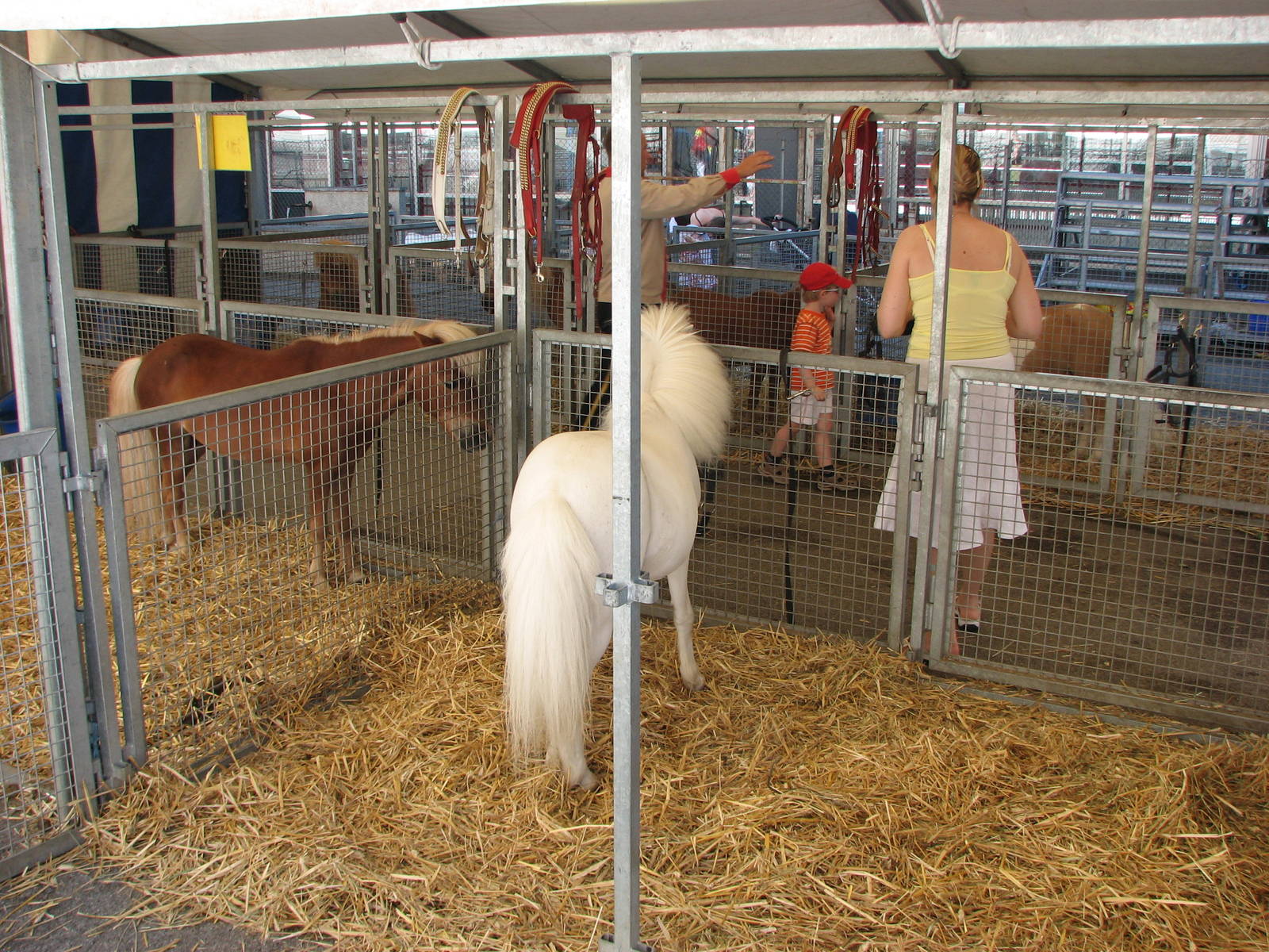 Circus Knie in Neuchatel 2008 - Pony tent