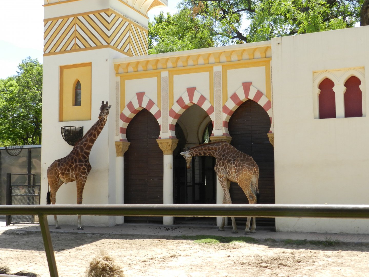 Ciro and Buddy - Ecoparque BA