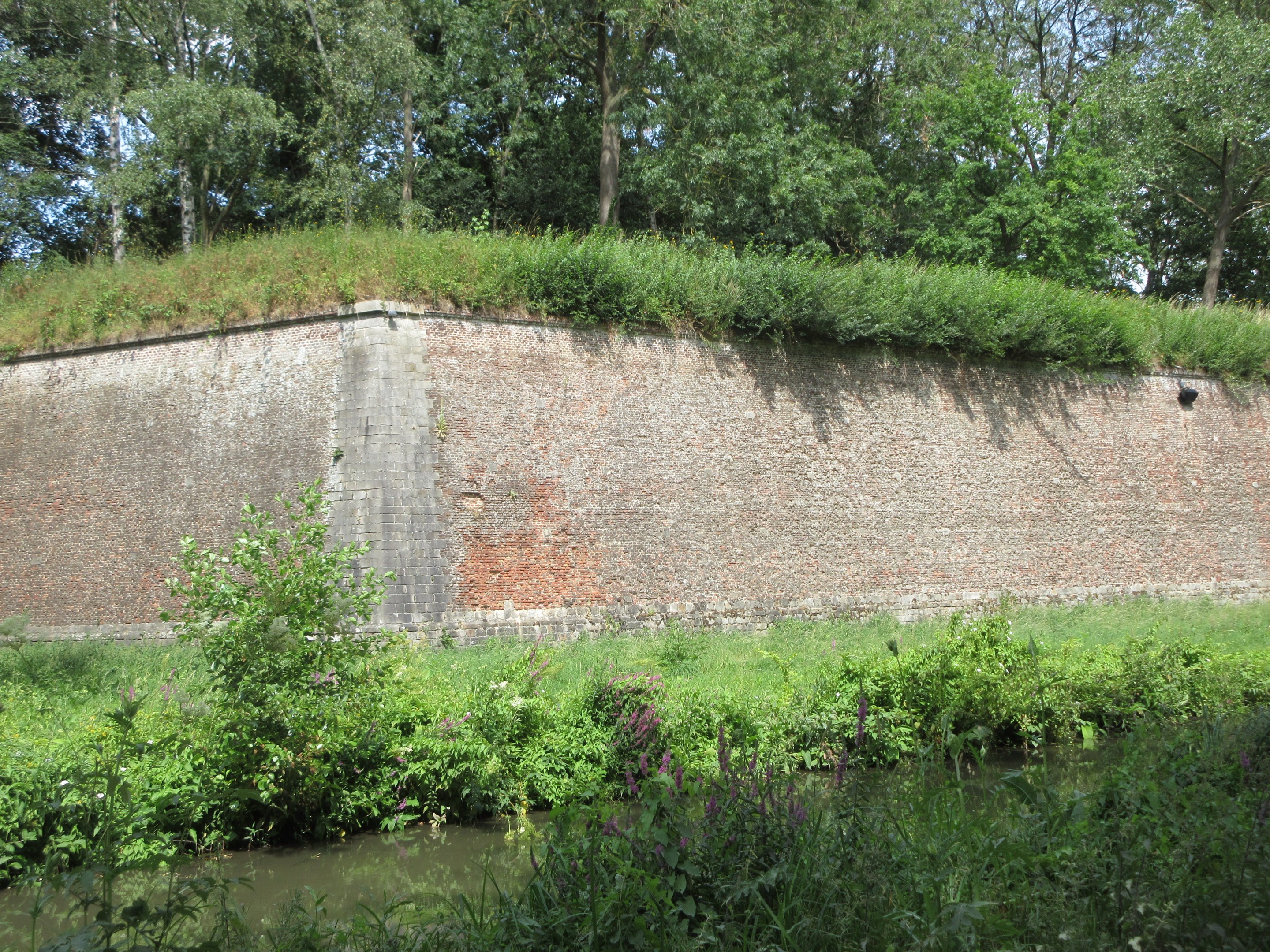 Citadel Wall