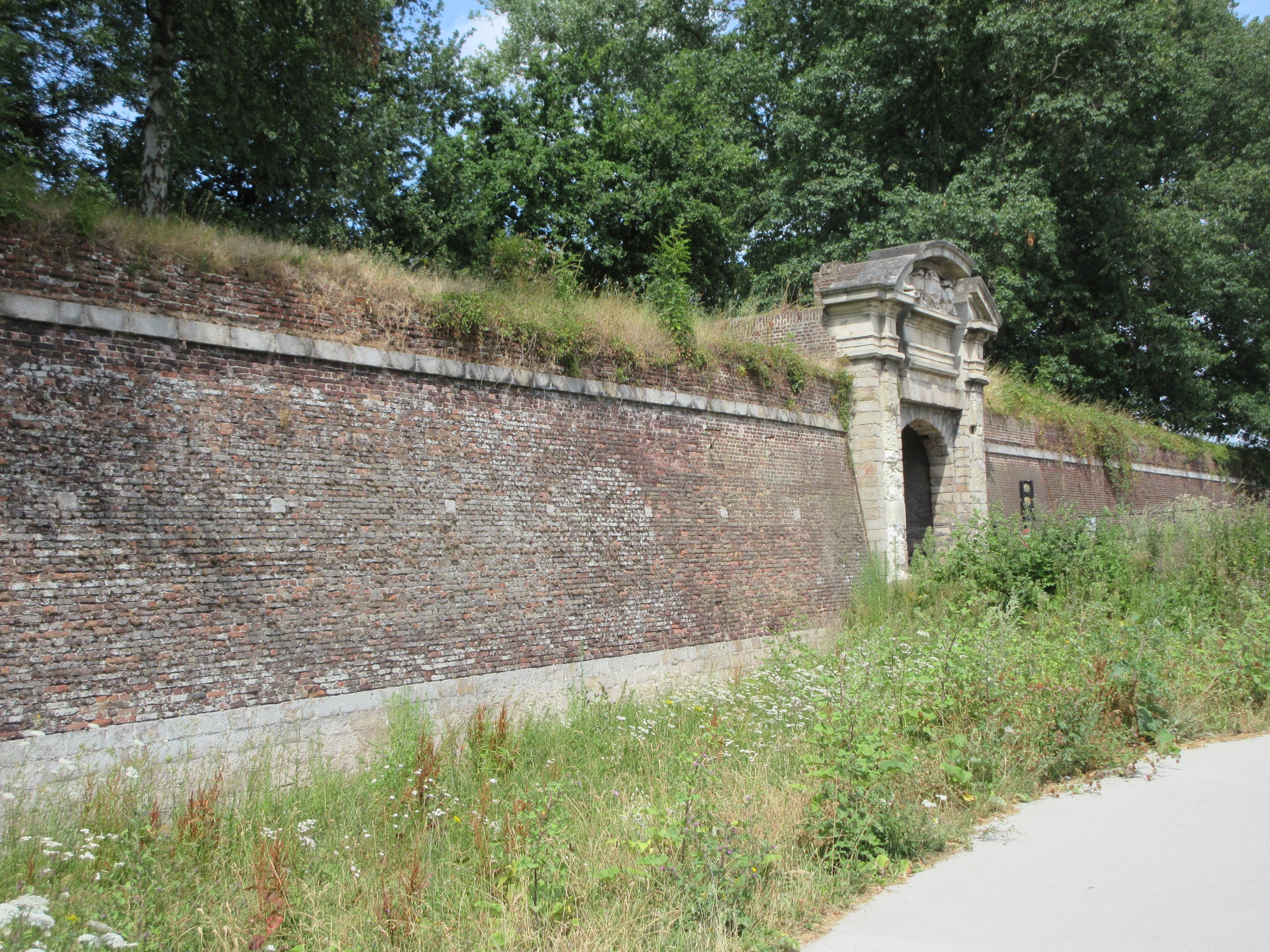 Citadel Wall