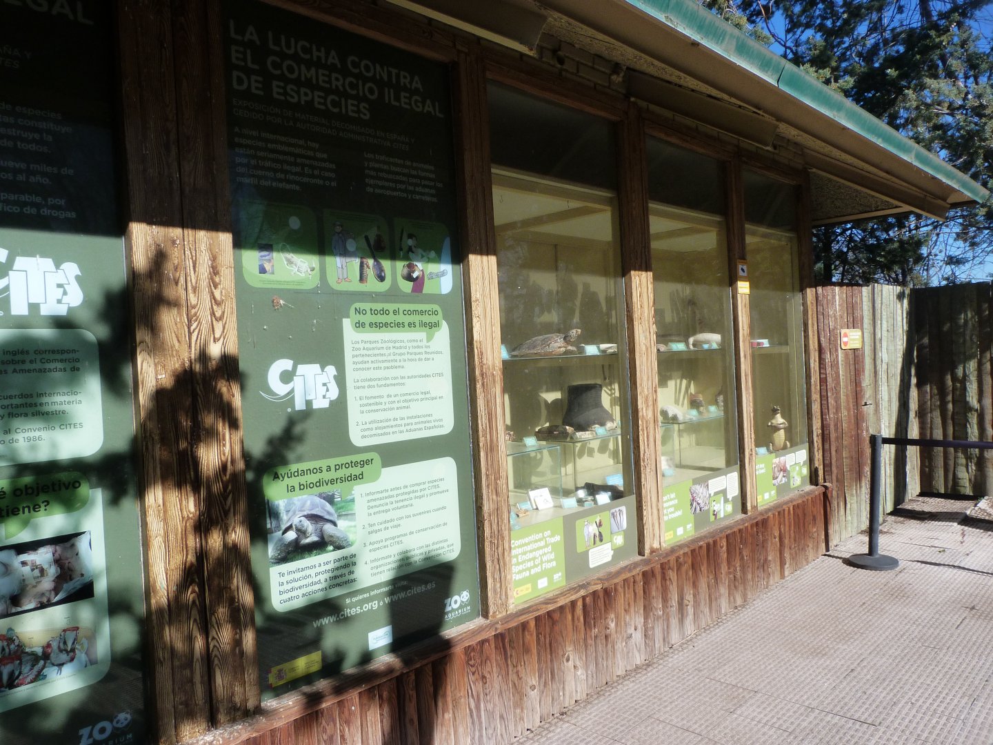 CITES decomission display -Zoo Aquarium de Madrid (2025)