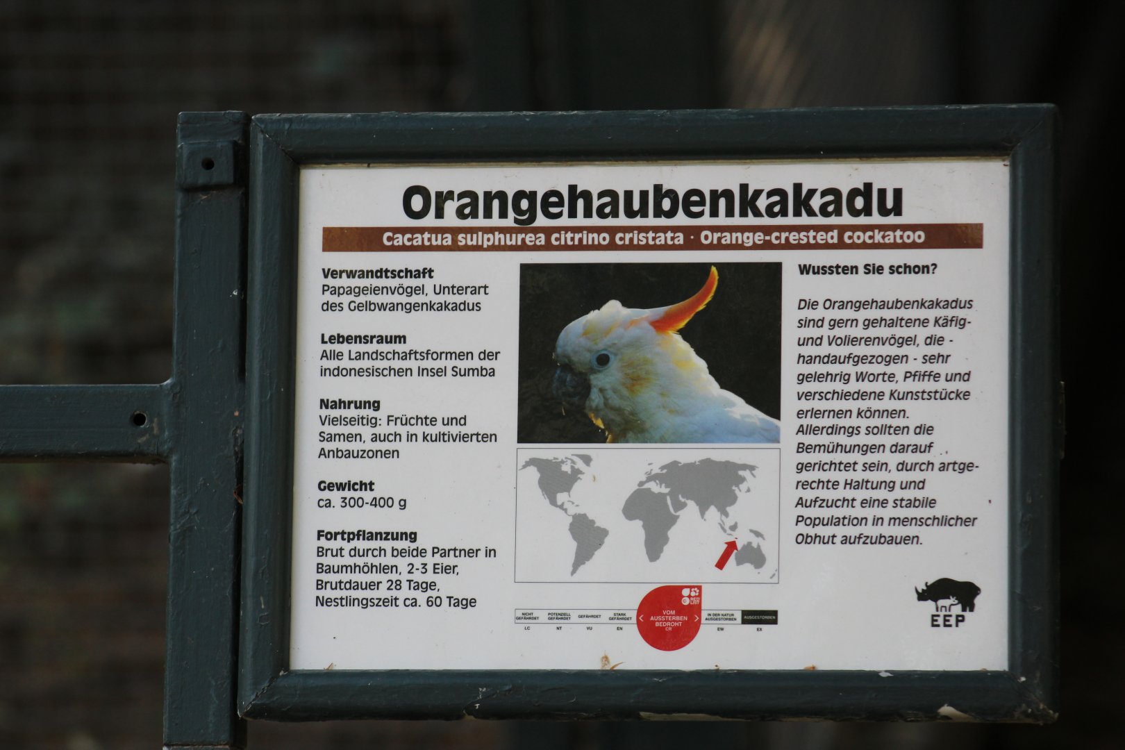 Citron-Crested Cockatoo Signage
