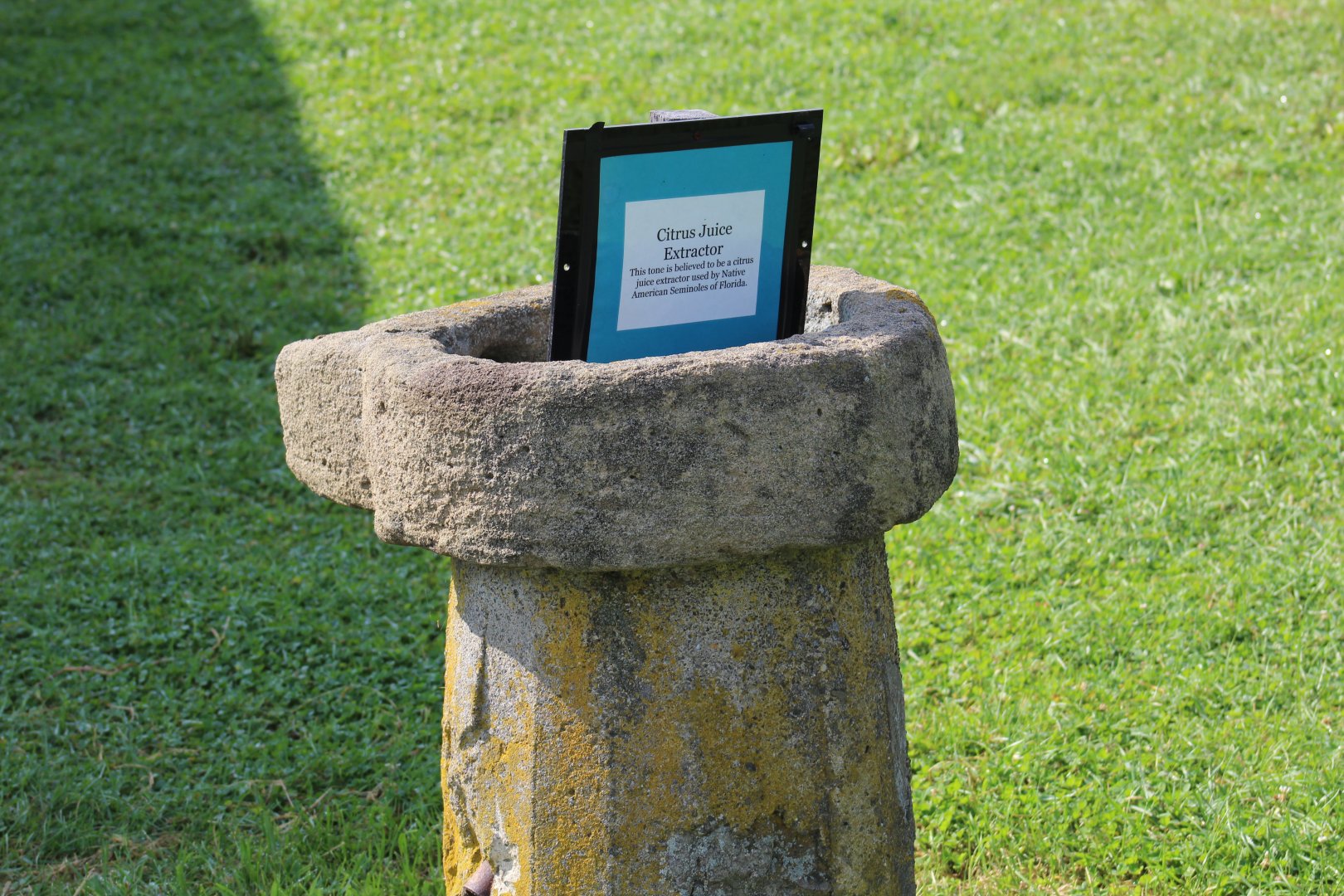 Citrus Fruit Extractor