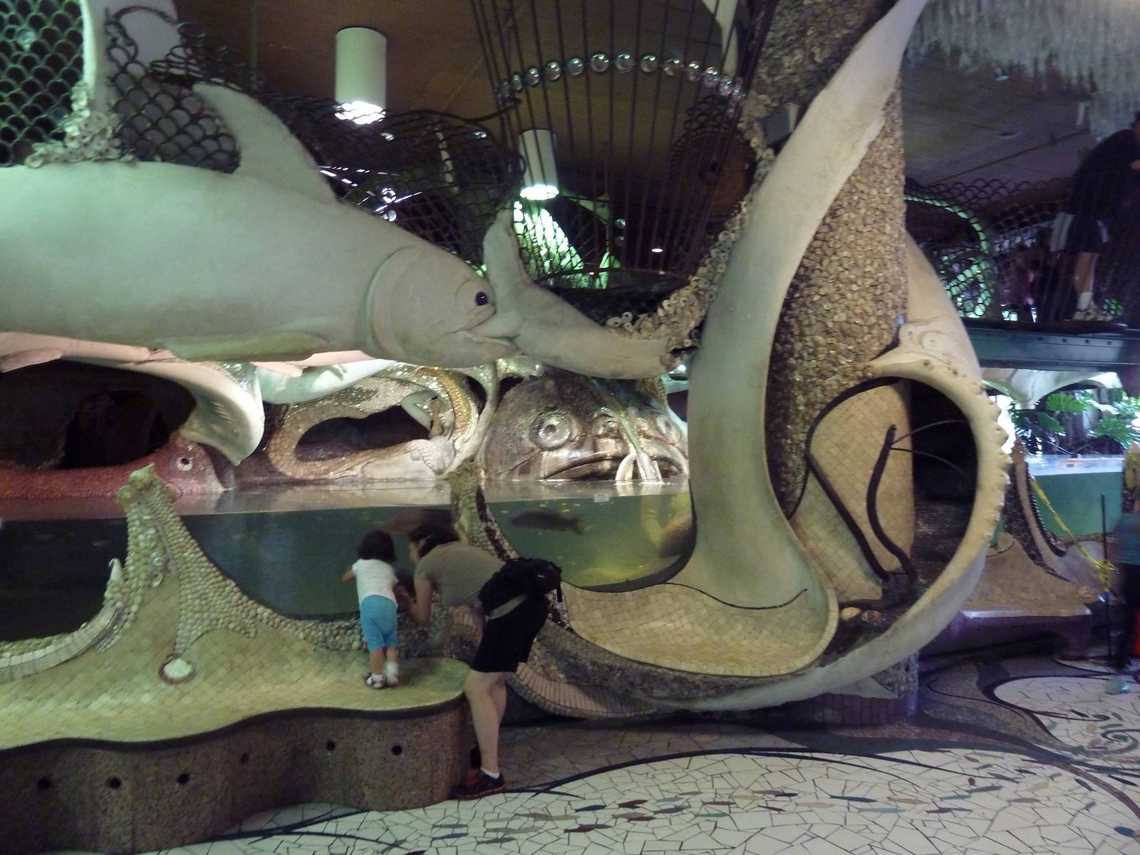 City Museum - Decorative Fish Tanks