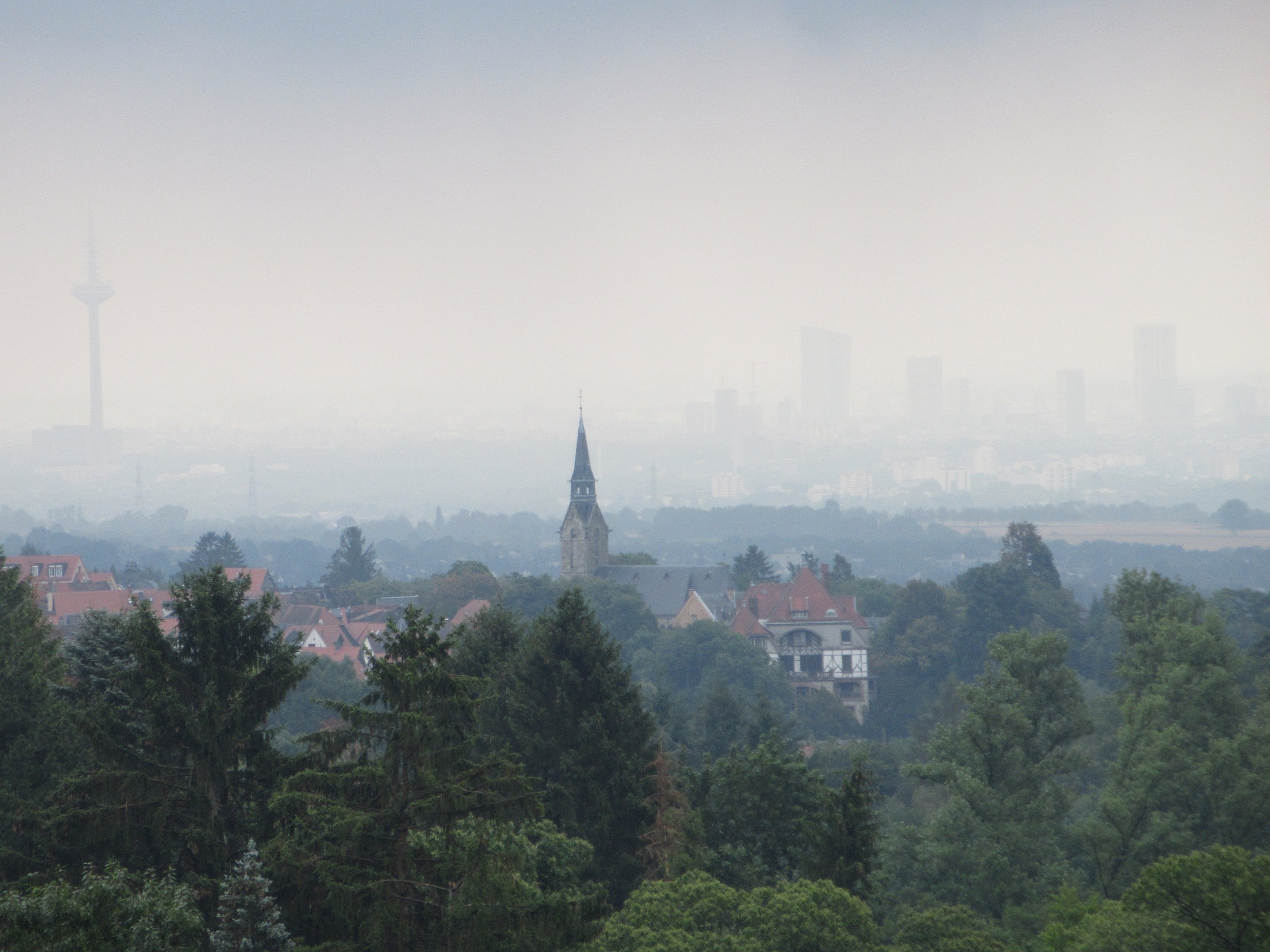 City of Kronberg - zoo view