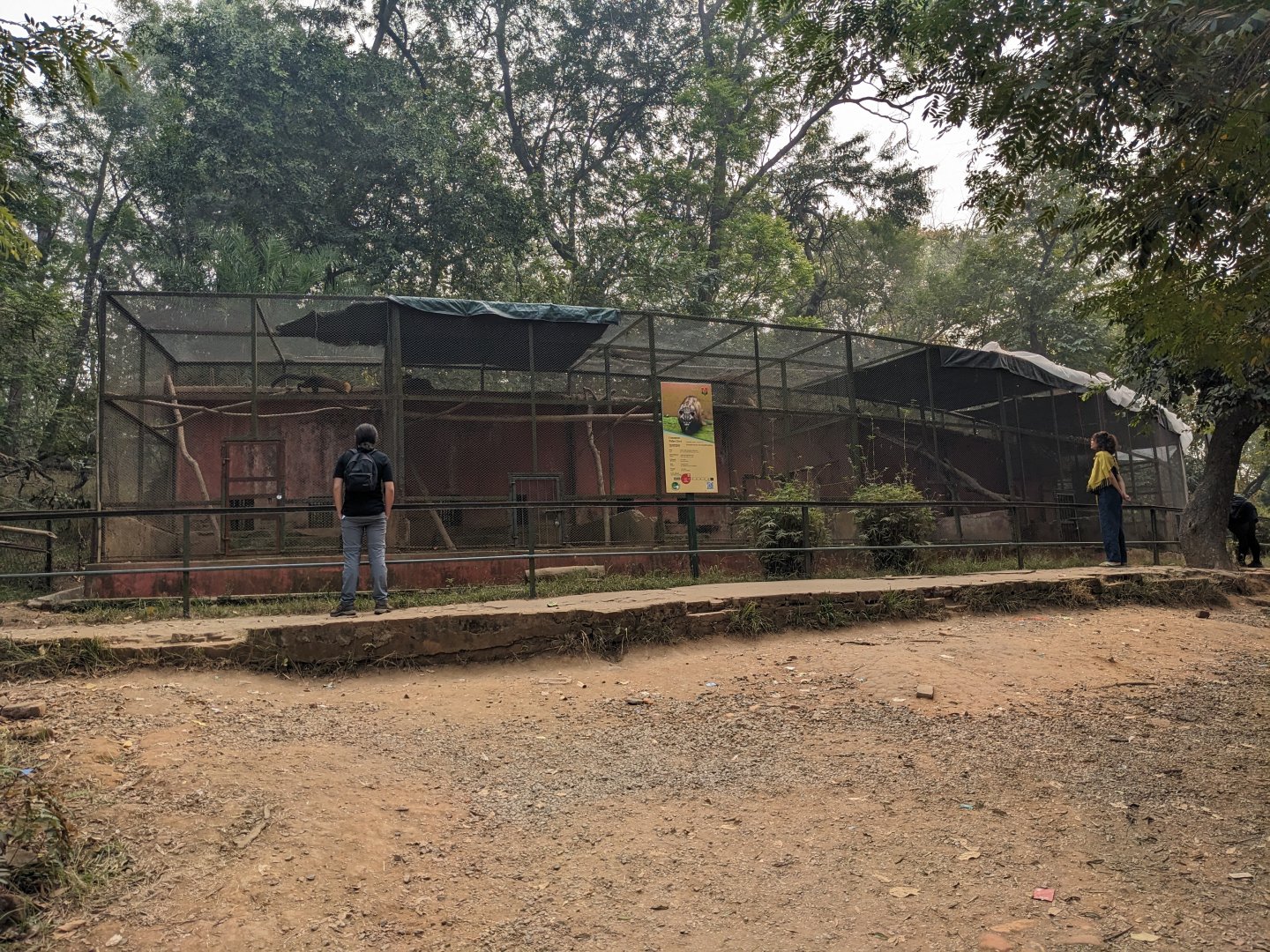 Civet and marten row of cages