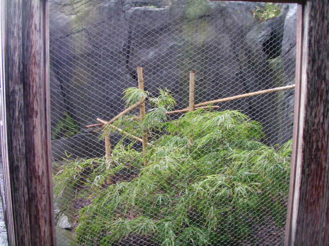 Civet cage, RSCC, Kent