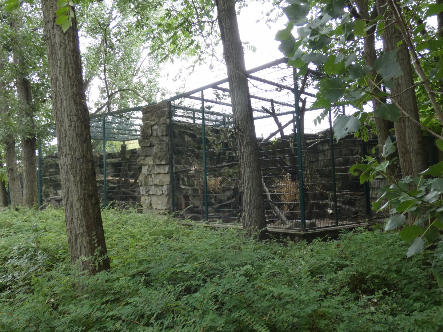 Civet Enclosure