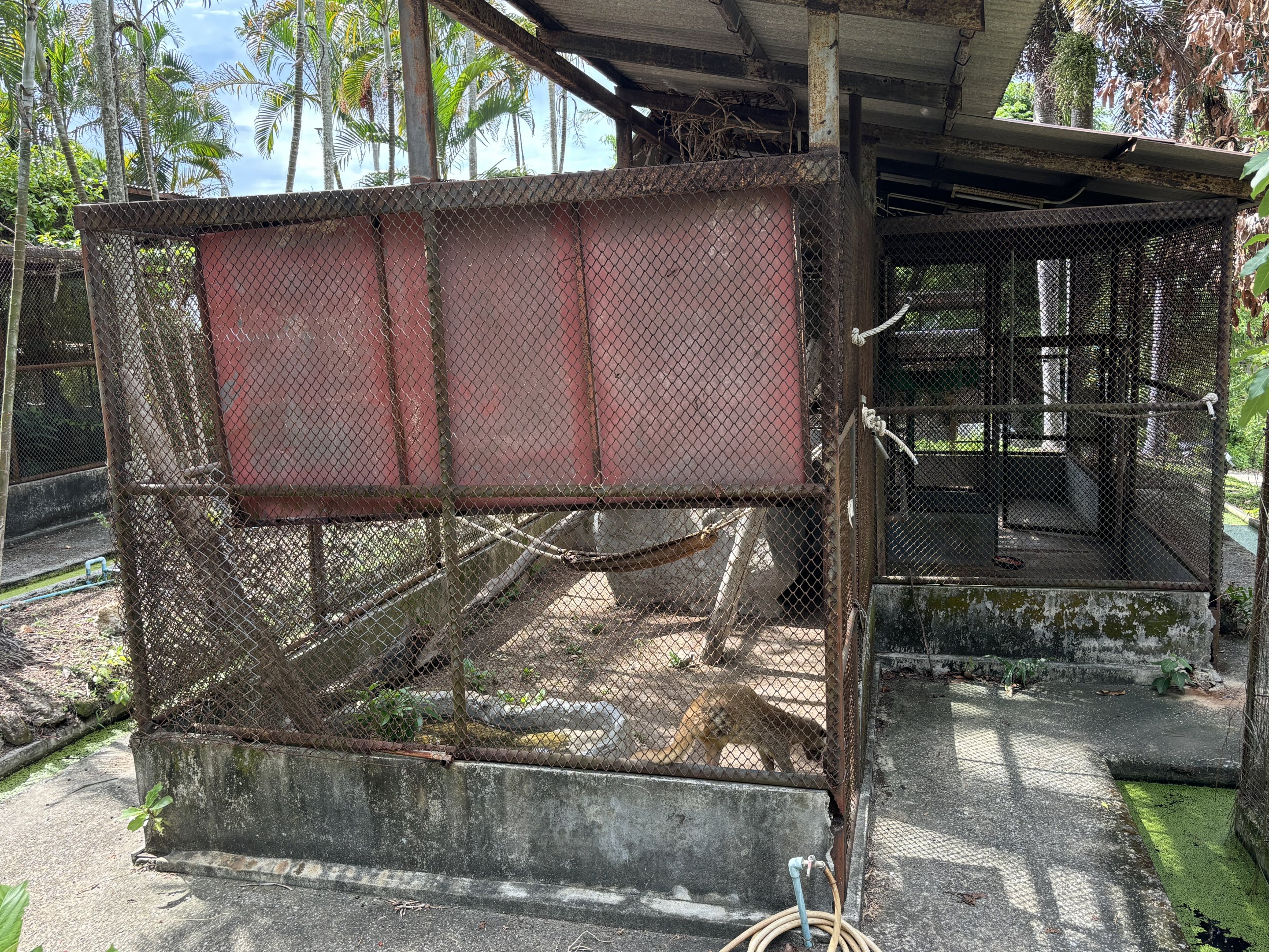 Civet Exhibit (off-show)