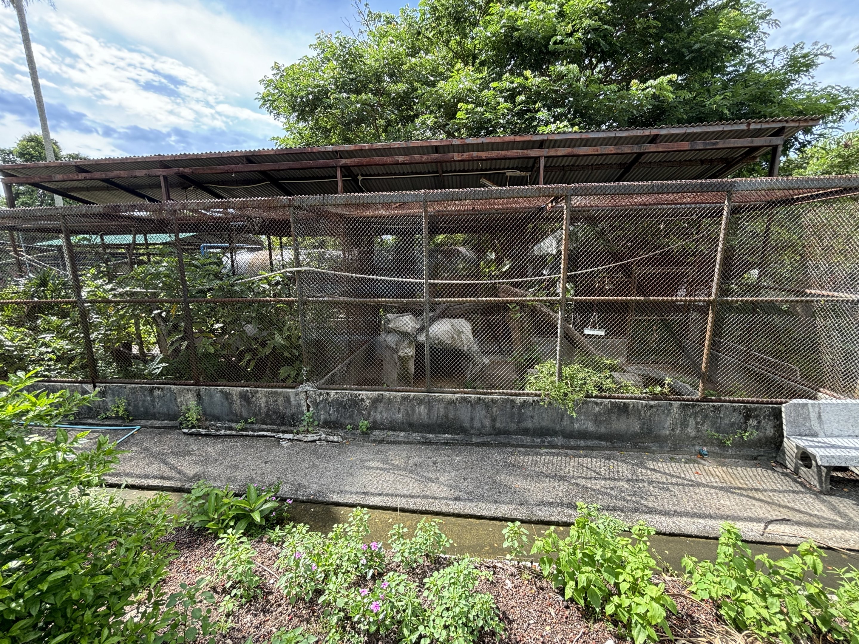 Civet Exhibits (off-show)