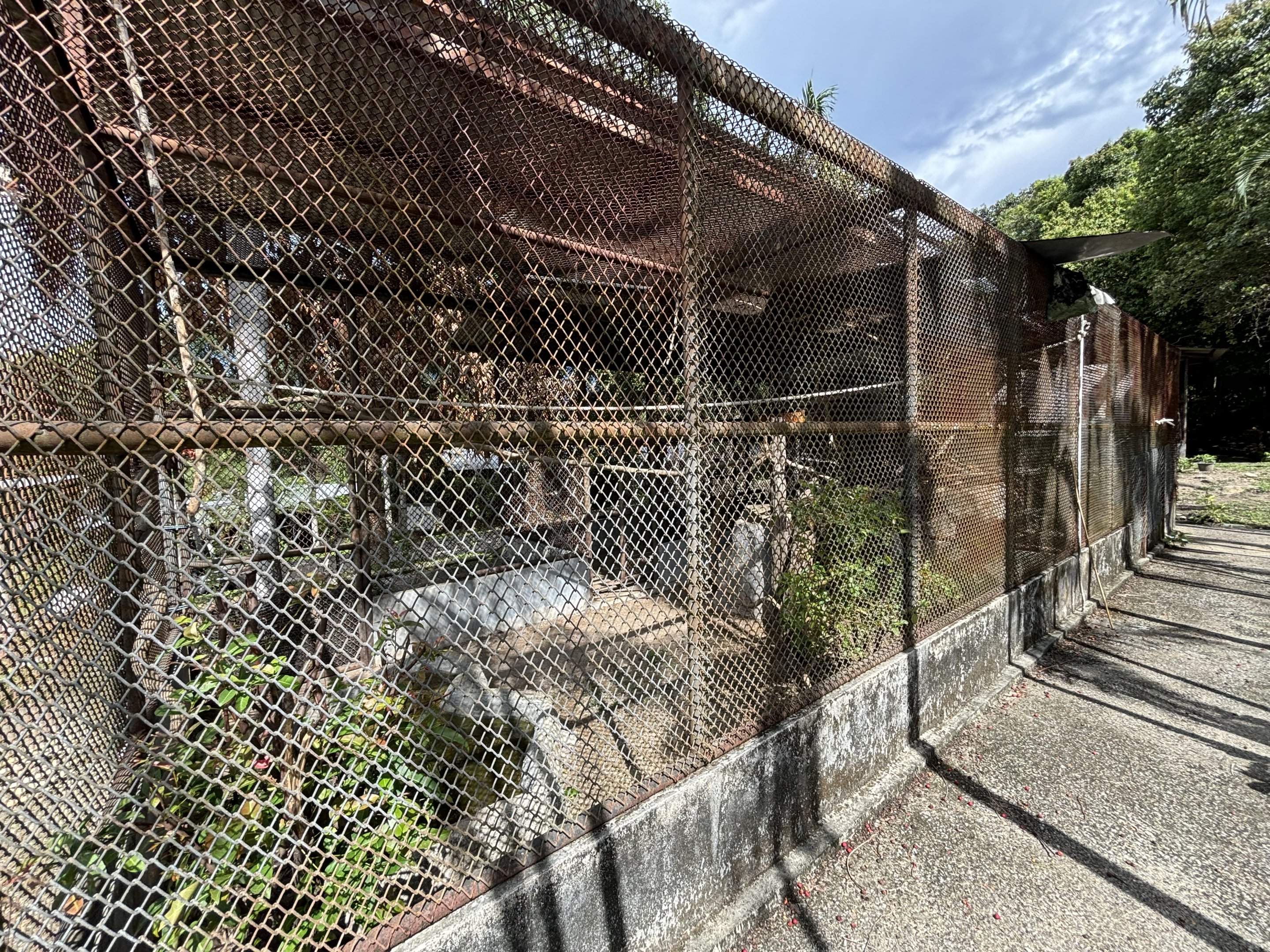 Civet Exhibits (off-show)