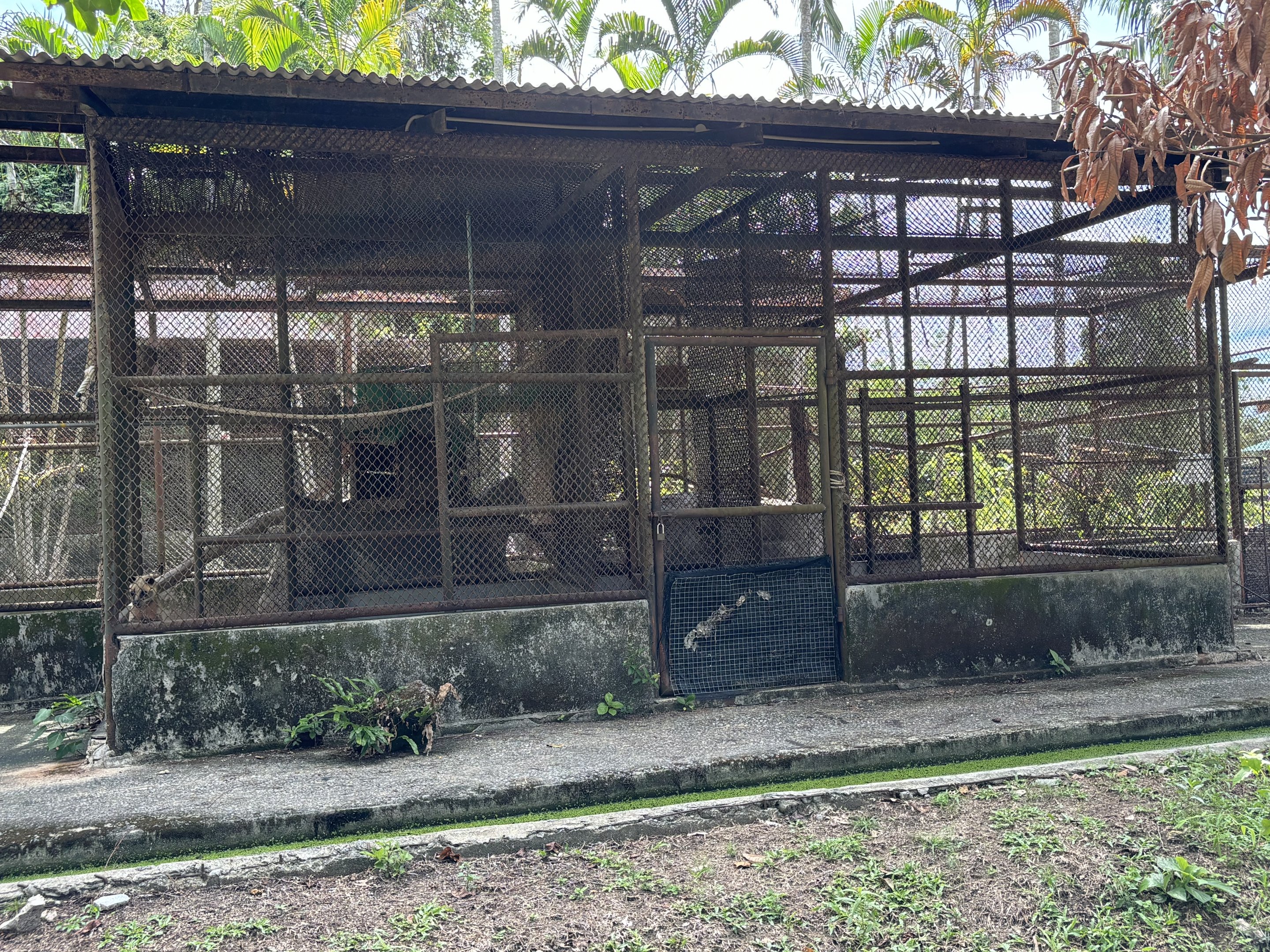 Civet Exhibits (off-show)