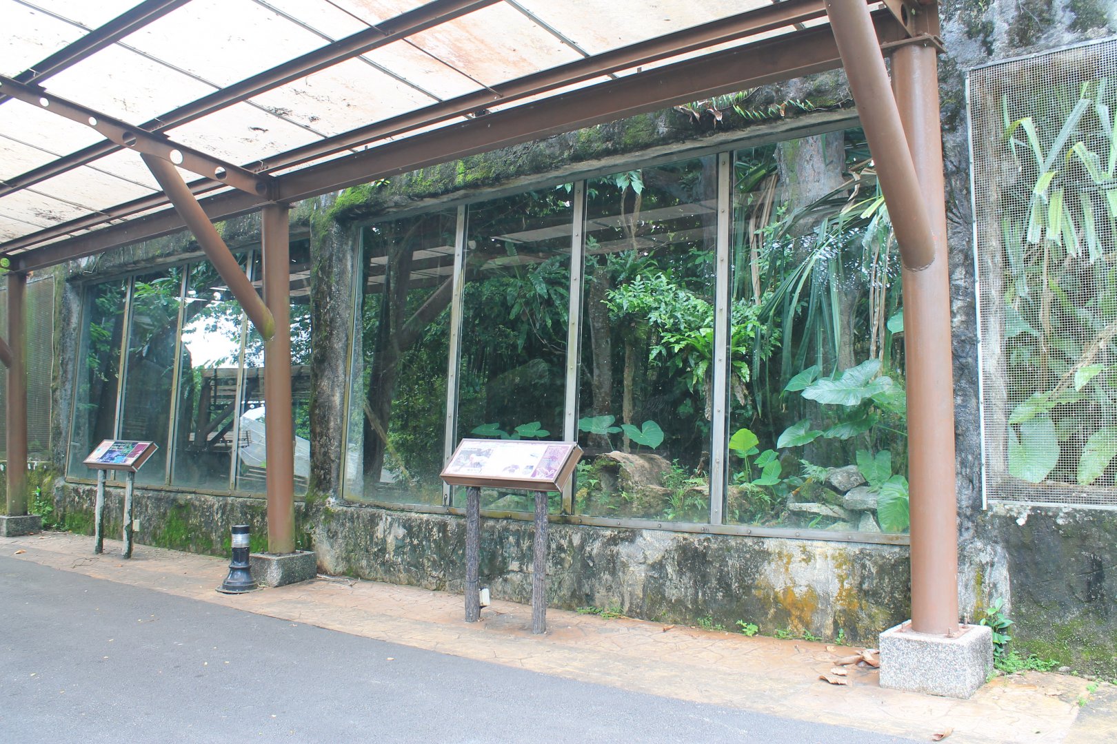 civet/mongoose enclosure