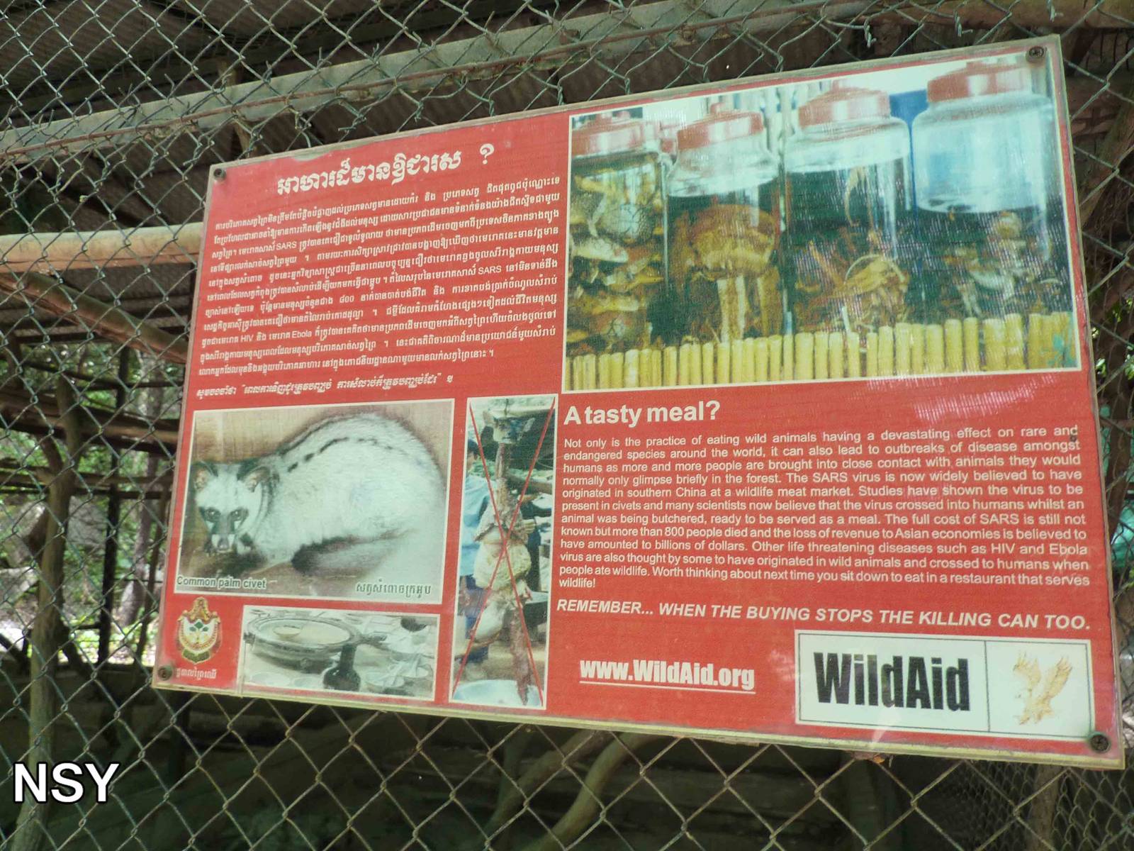 Civet sign, May 2013.