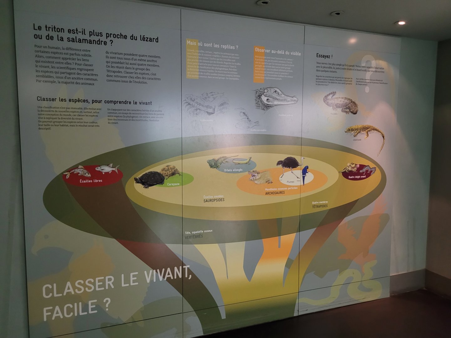 "Classify the living, easy?" -Parc Zoologique de Paris (2022)