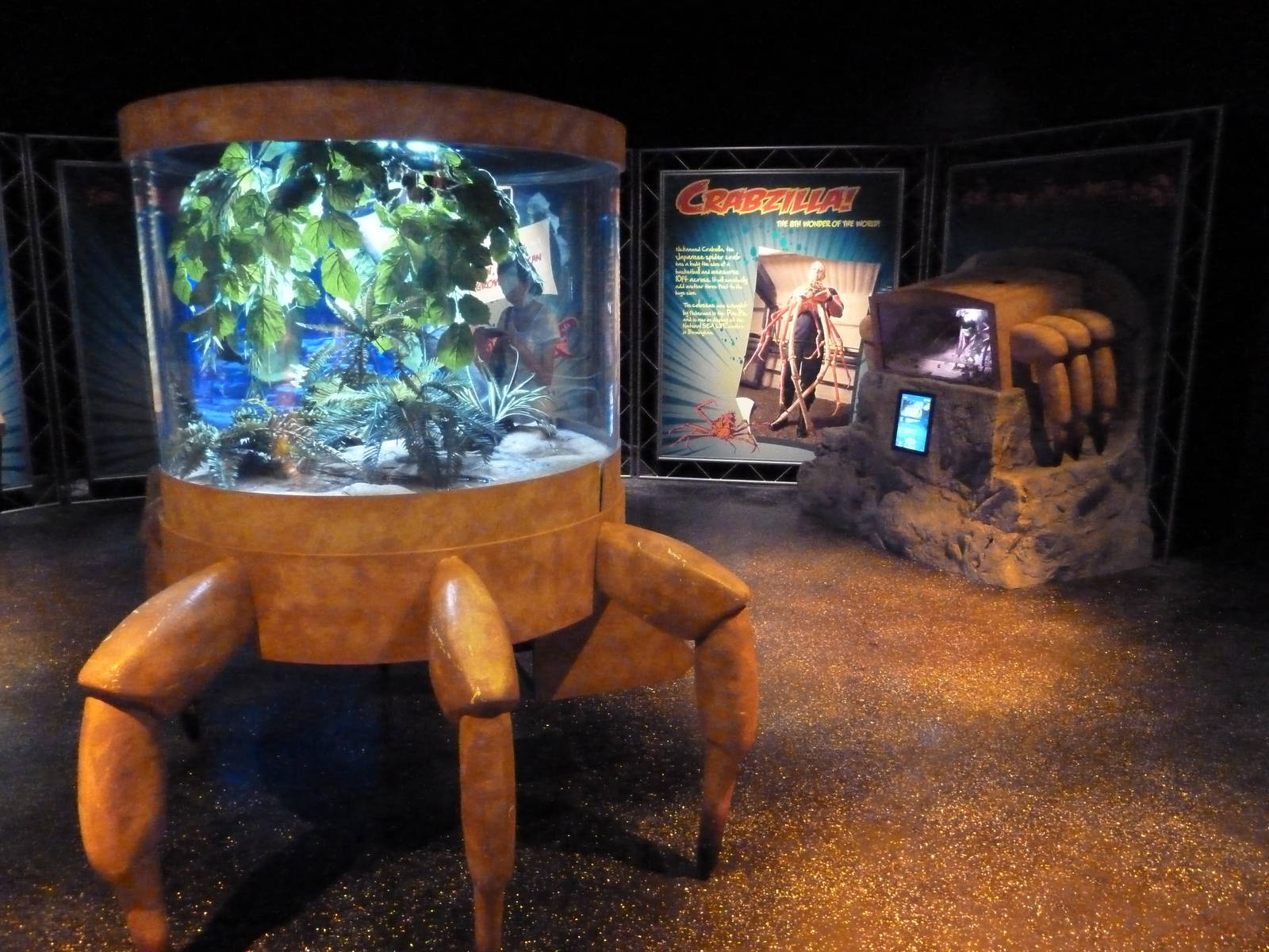 Claws - Coconut Crab Exhibit