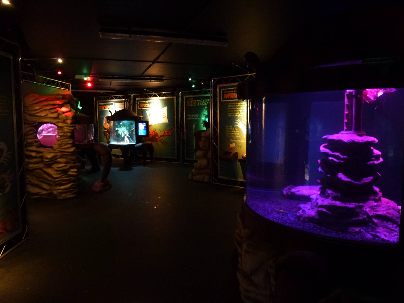 Claws exhibit, January 2014