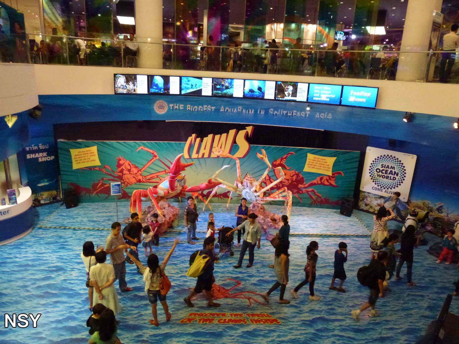 Claws in the foyer, June 2013.