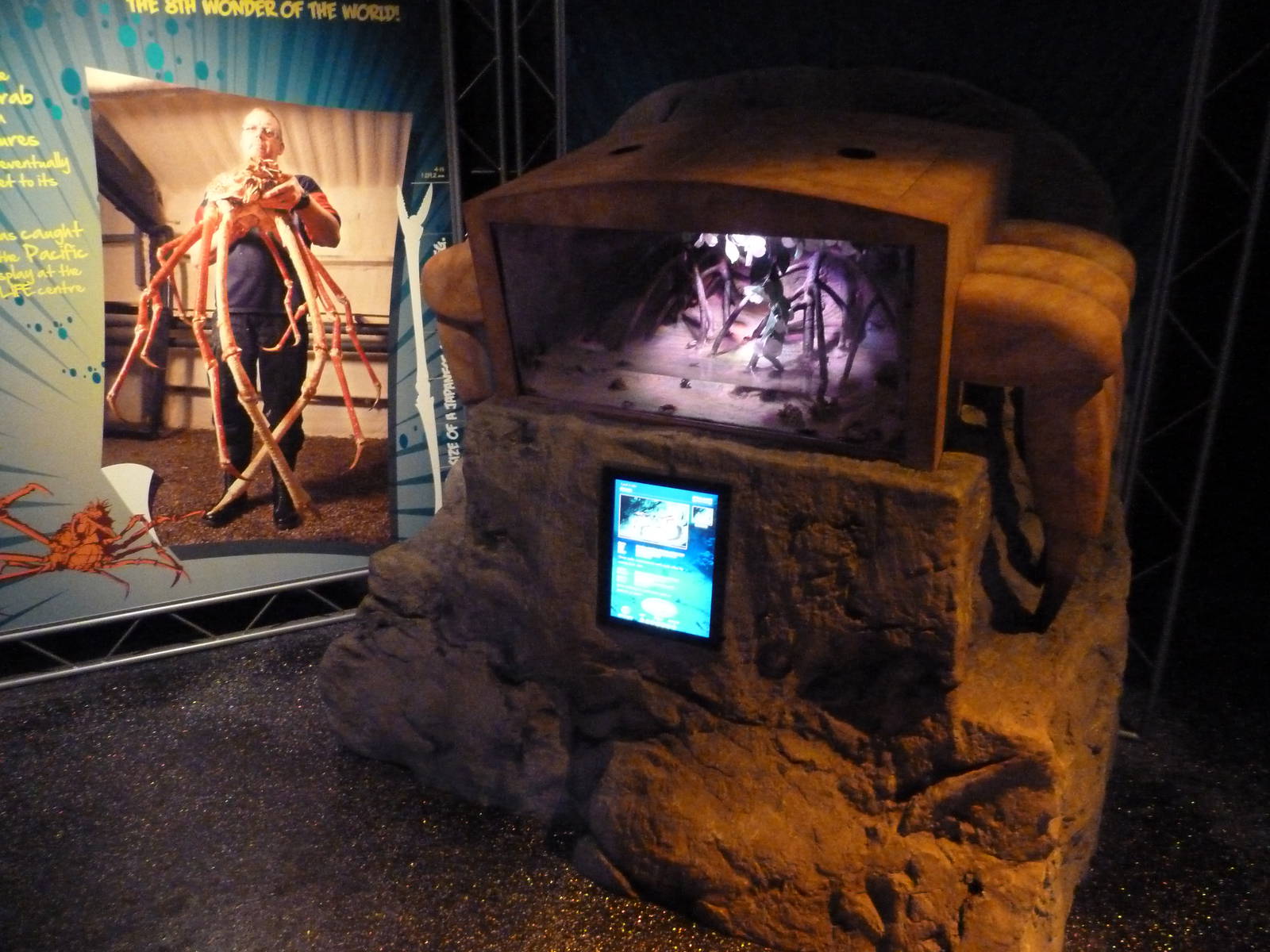 Claws - Land Crabs Exhibit