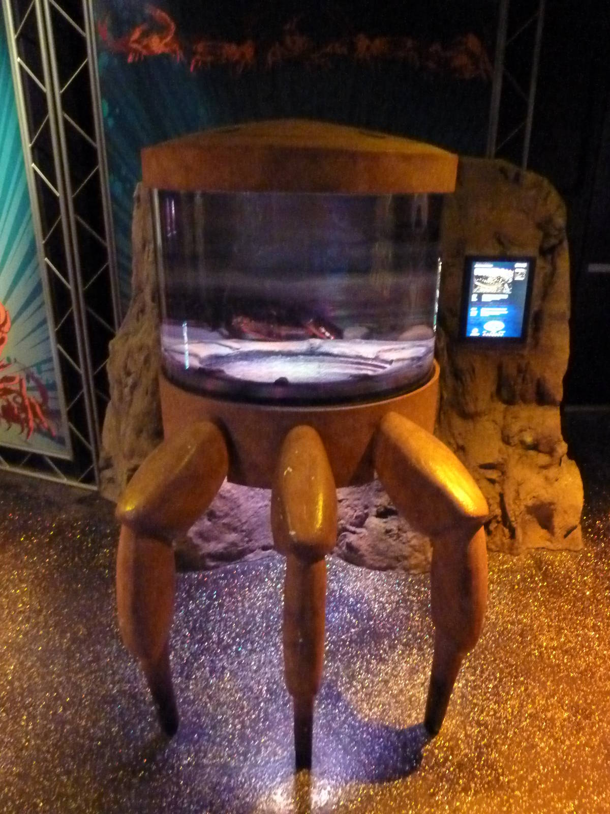 Claws - Maine Lobster Exhibit