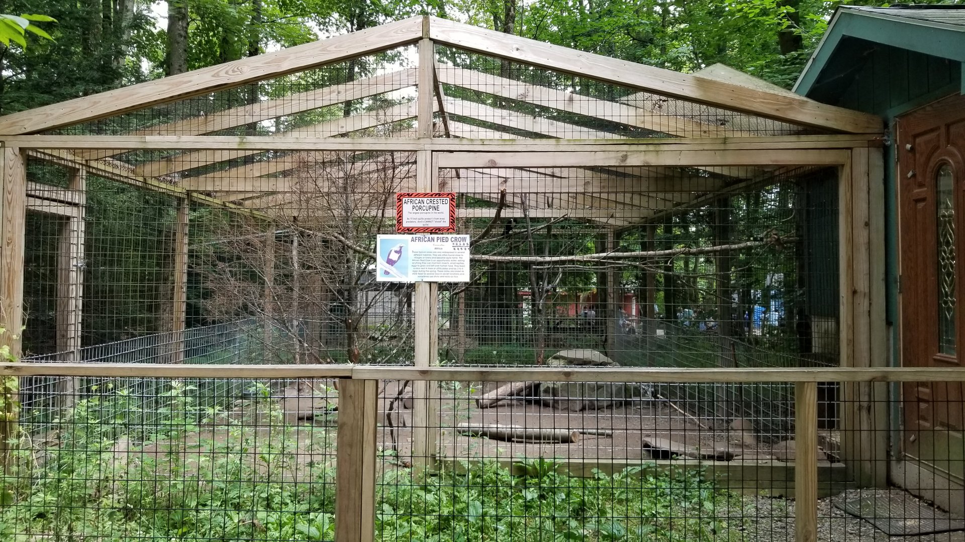 Claws N Paws - African crested porcupine, African pied crow