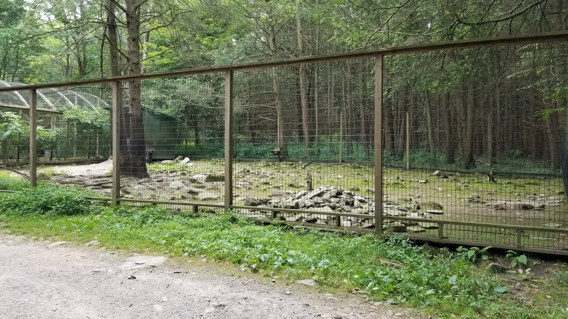 Claws N Paws - Alpacas