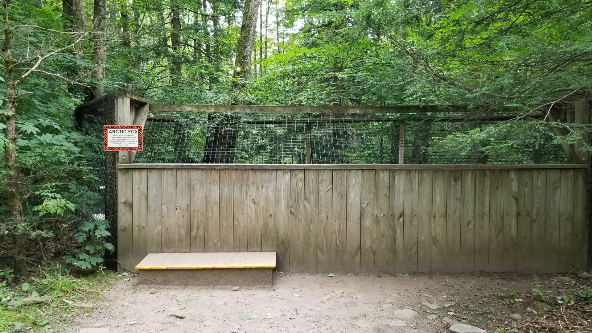 Claws N Paws - Arctic Foxes