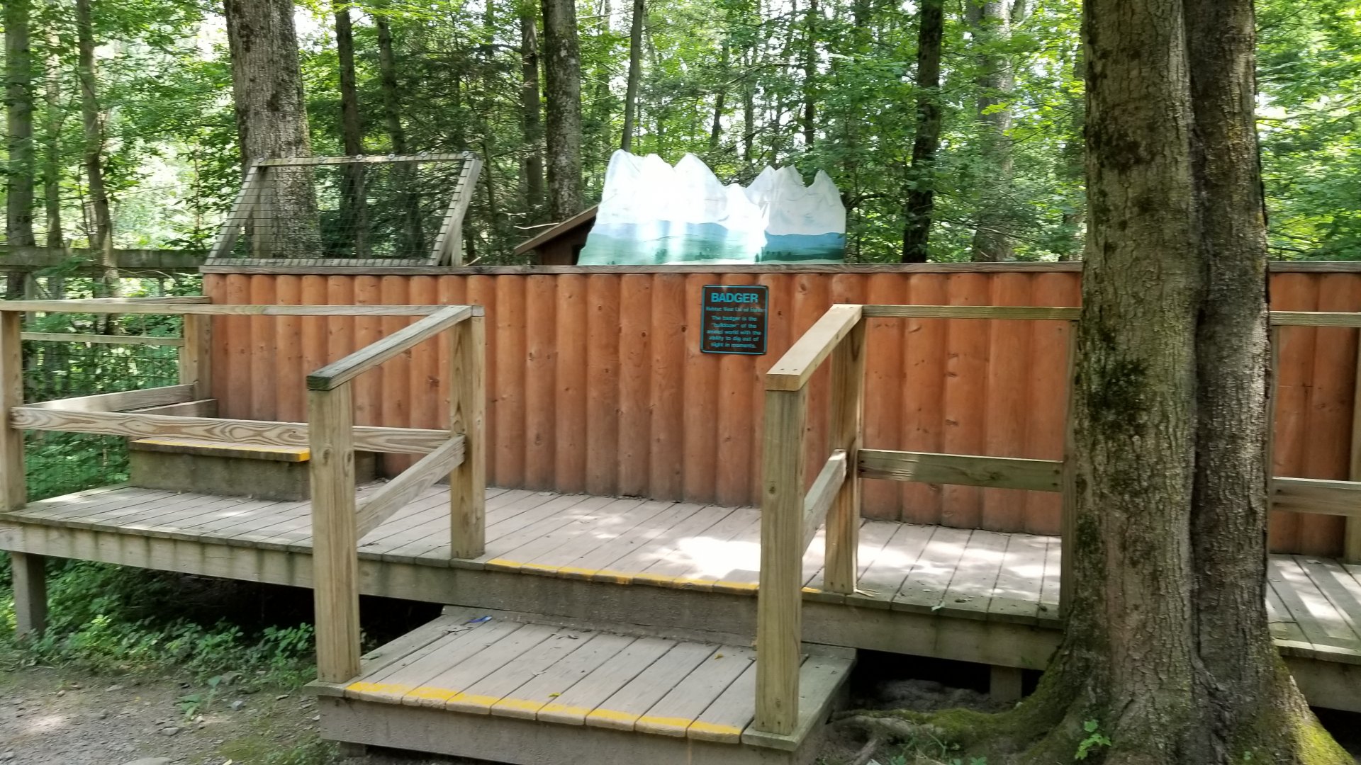 Claws N Paws - Badger exhibit